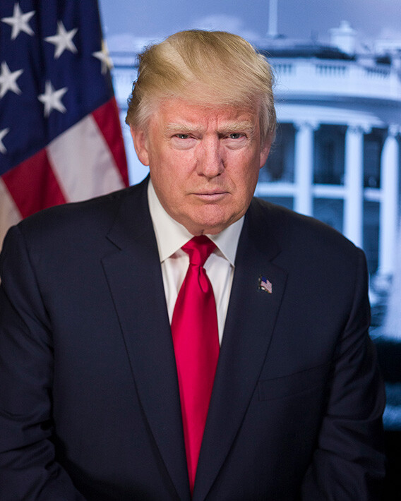 Donald Trump Photograph – Vintage Photo from 2016