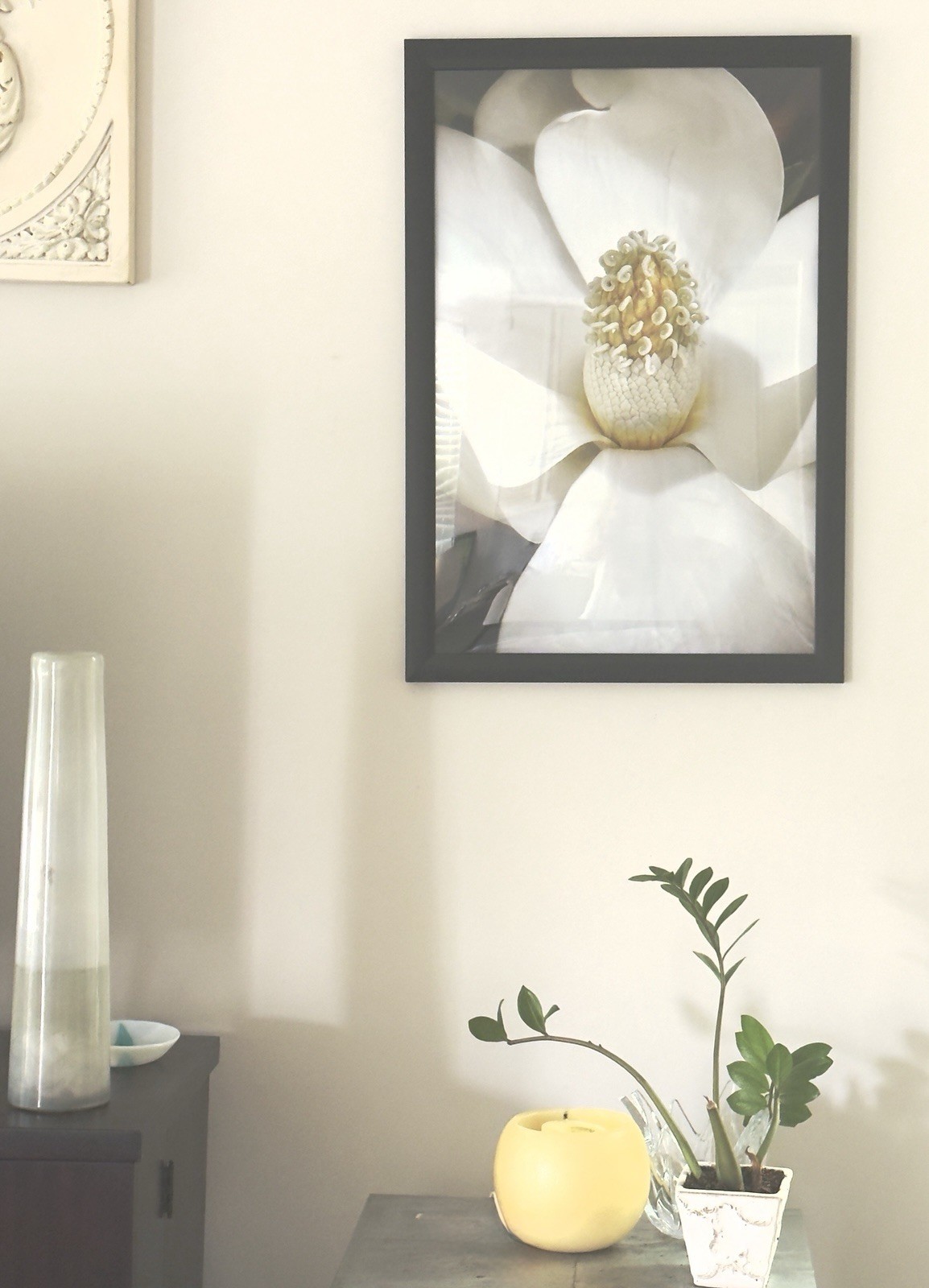 Nature Photography Print Magnolia