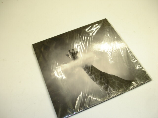 Yellow Komer Certify Photograph Glrafe Limited Edition 20×20 cm #738 Beautiful
