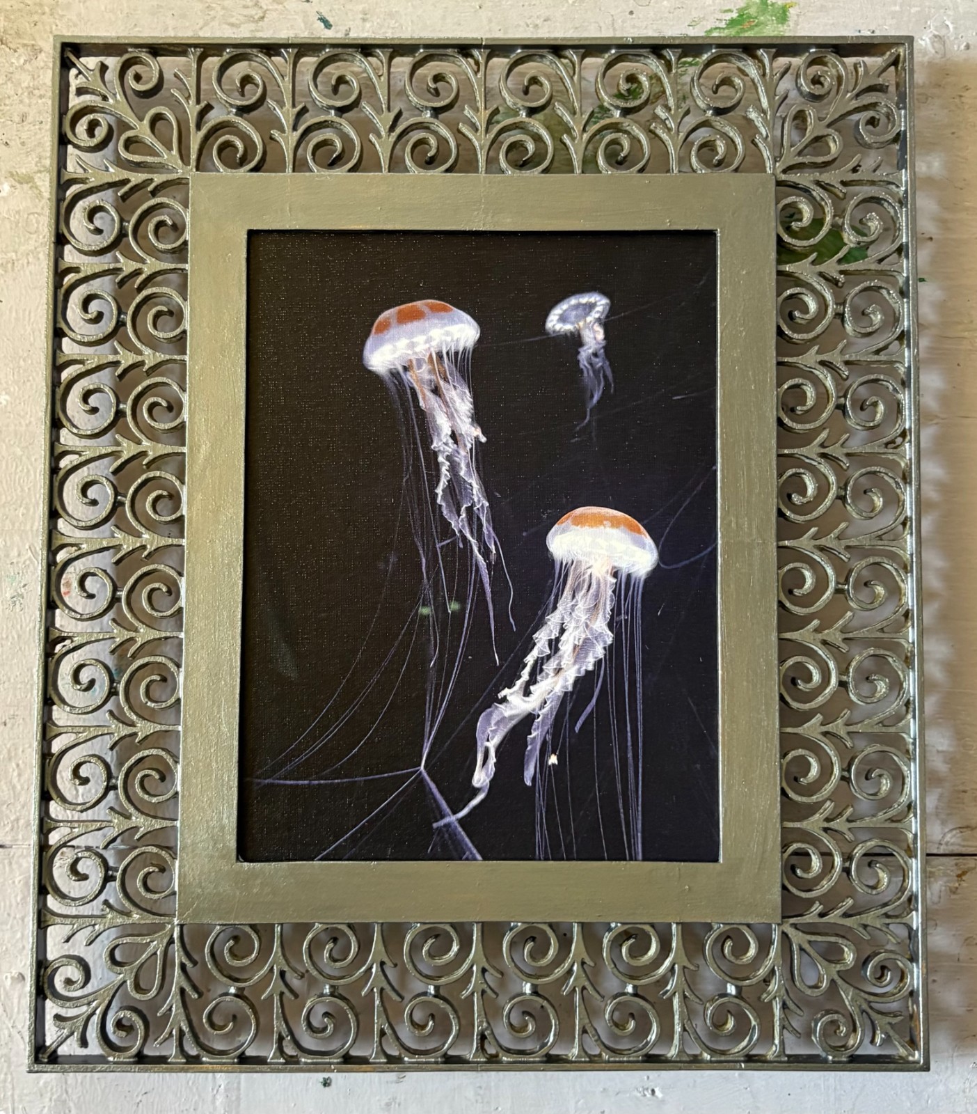 Jelly Fish, Original Photography, Canvas, Platinum Metal Framed