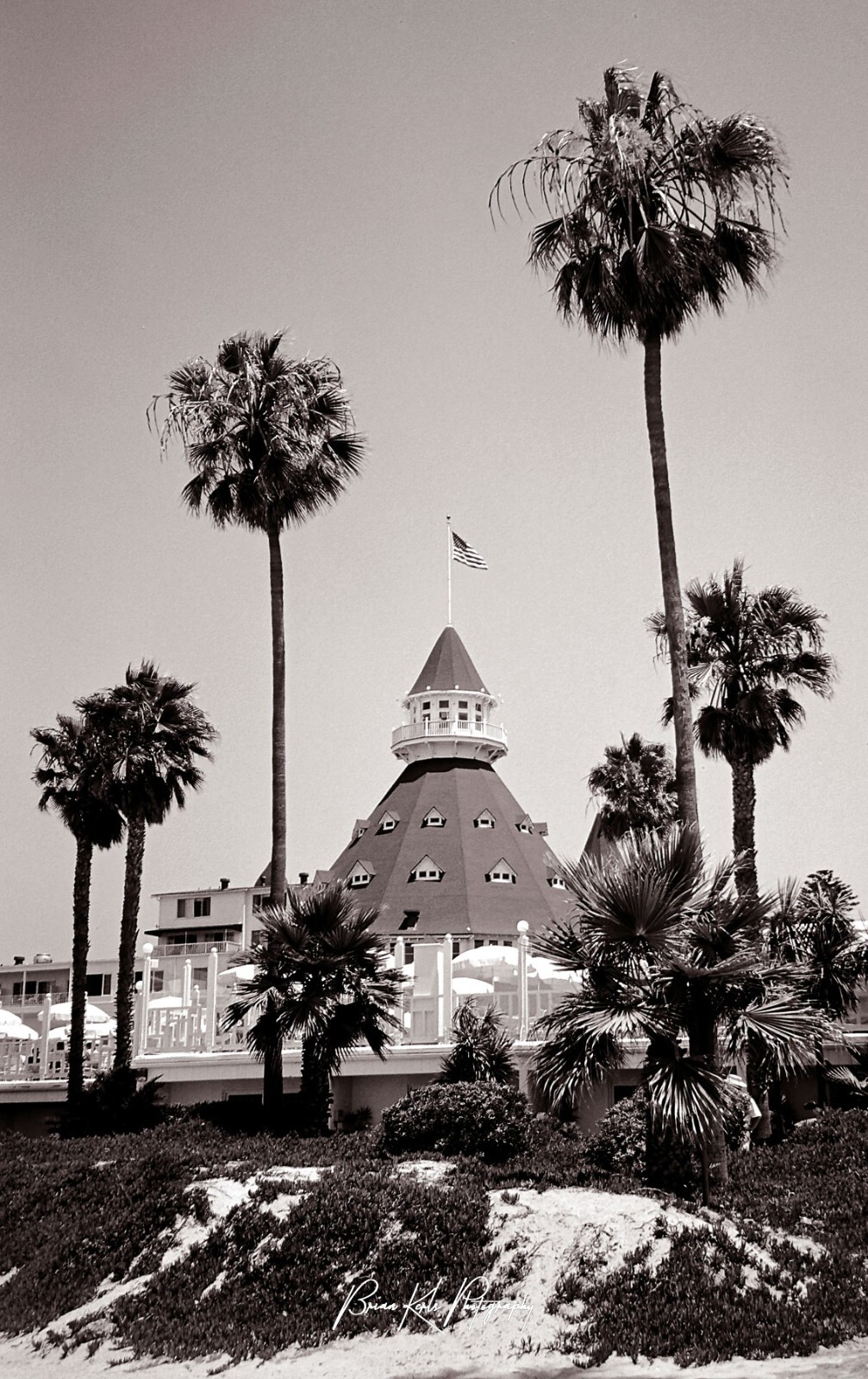 Hotel Del, Coronado Island, San Diego, Beach Scene Framed Photograph Wall Art
