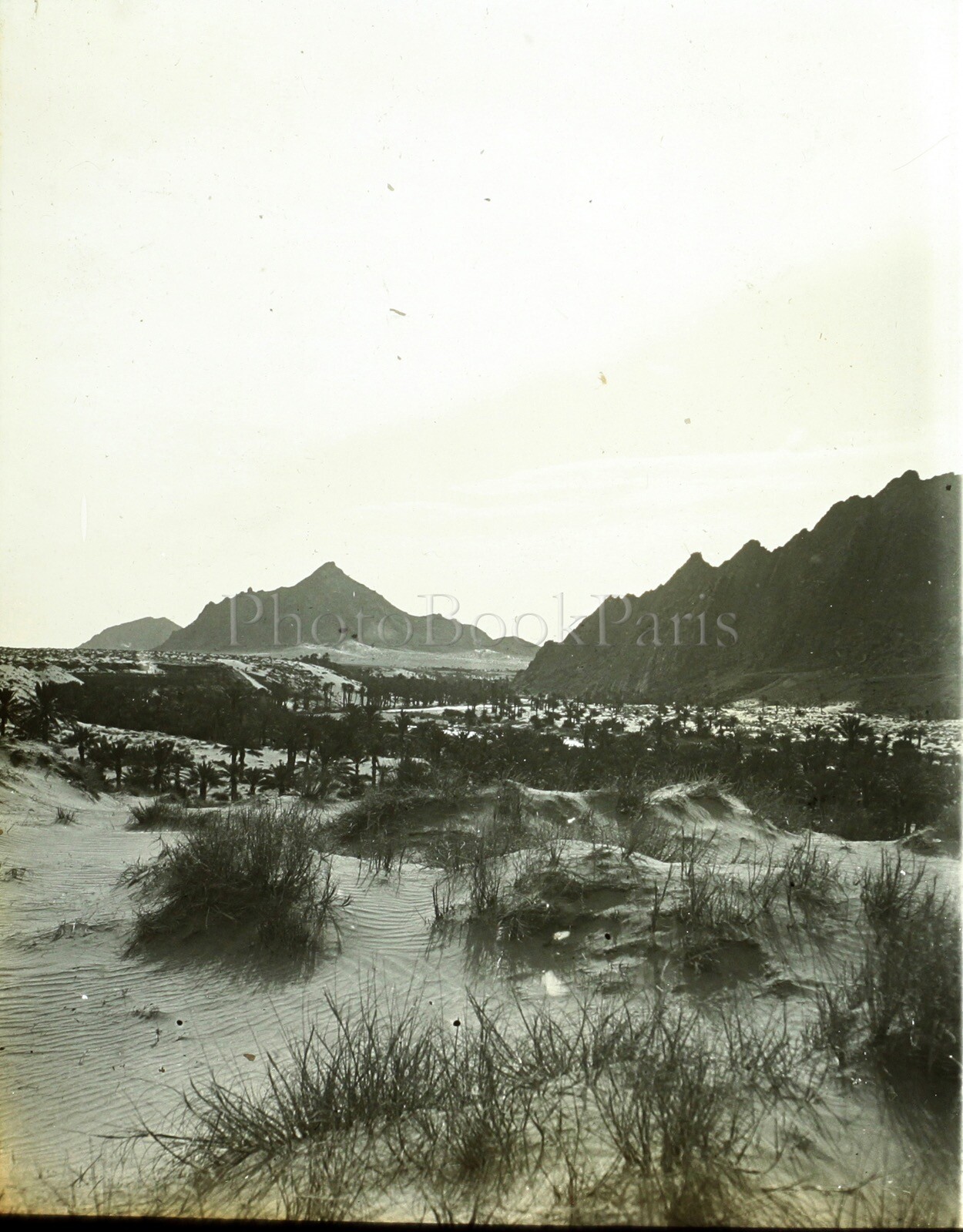 MAROC Figuig Oued Zouzfana Desert C1900, Photo Stereo Vintage Plate