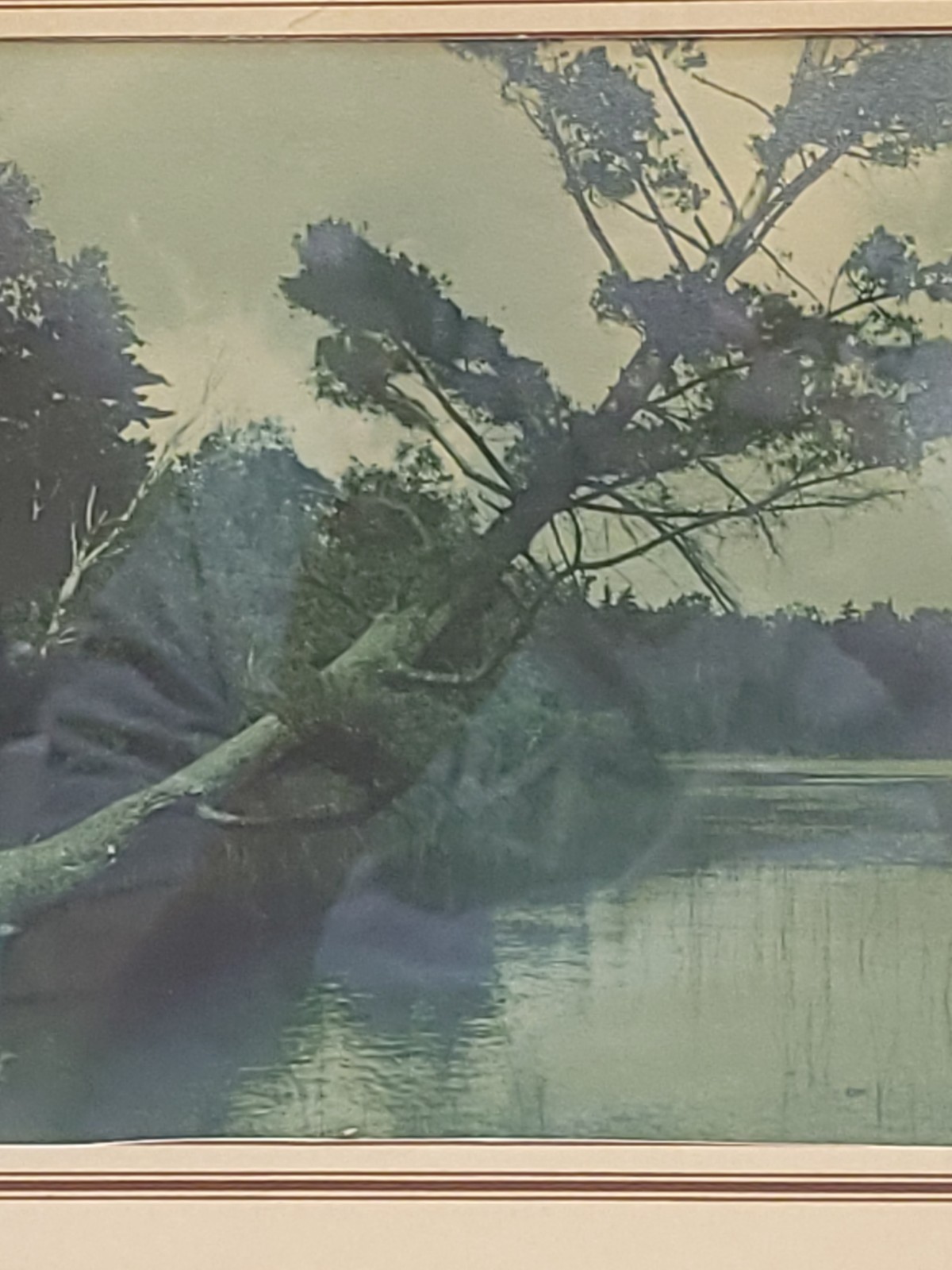 Vintage Scenic Photograph Framed Art Lost Lake Michigan, Trees Antique Art 1939