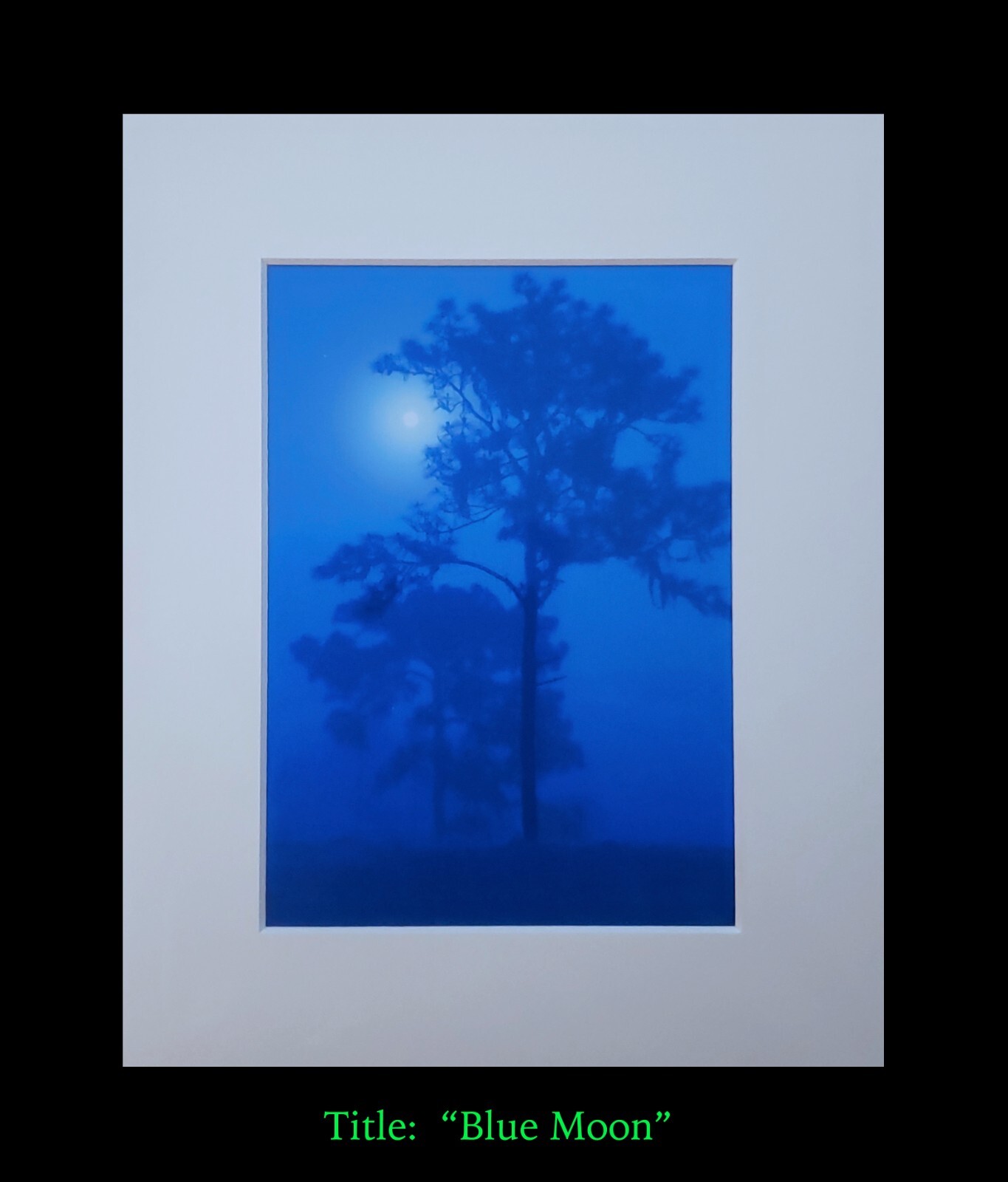 matted photograph, 5″x7″ print, mounted 3/16″ foam with 8″x10″ single white mat
