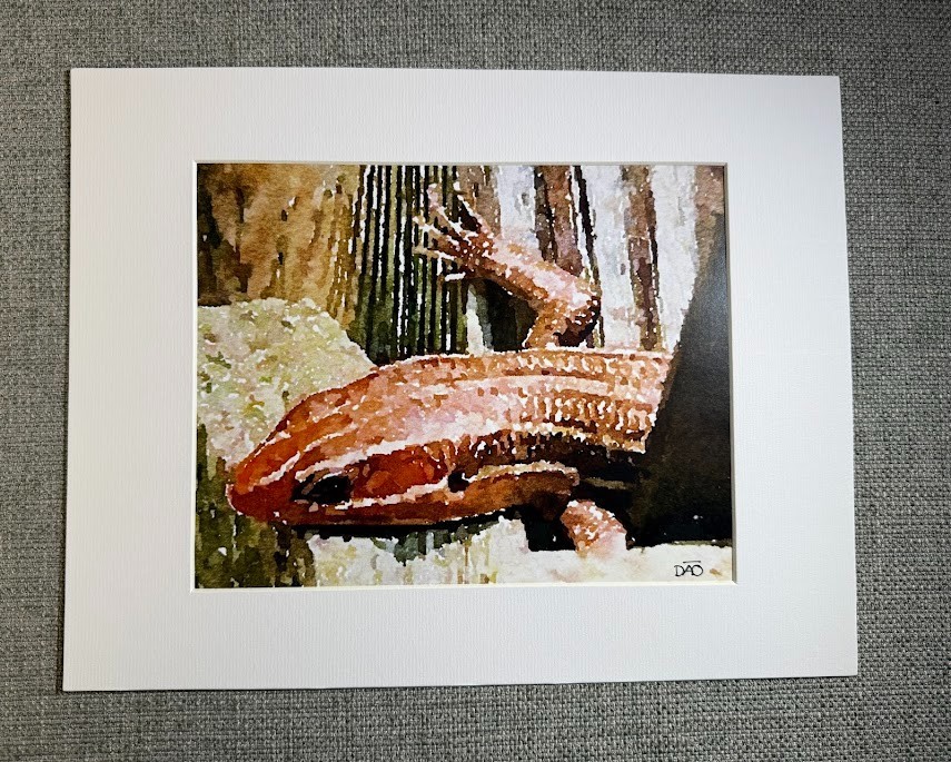 Lizard Digital Watercolor Original Photograph 8 X 10 Matted To 11 X 14 – Signed