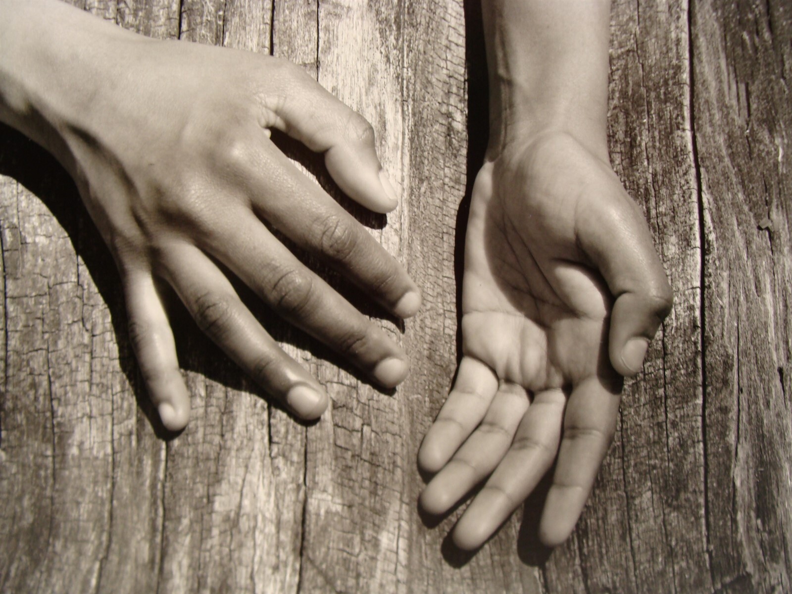 2 Original 2007 Charles Fendrock Hands Photograph