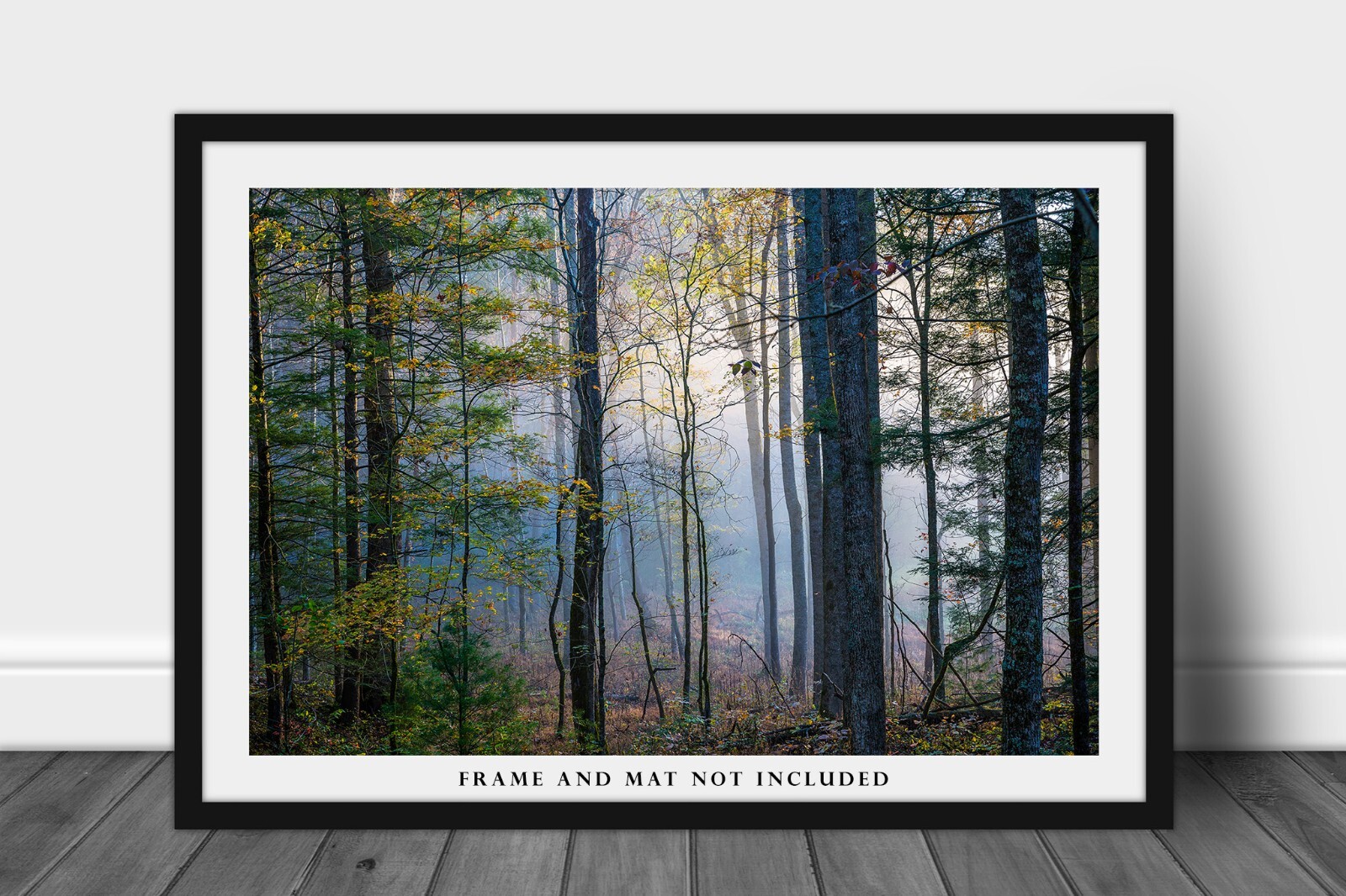 Photography Print of Forest on Foggy Morning in Great Smoky Mountains