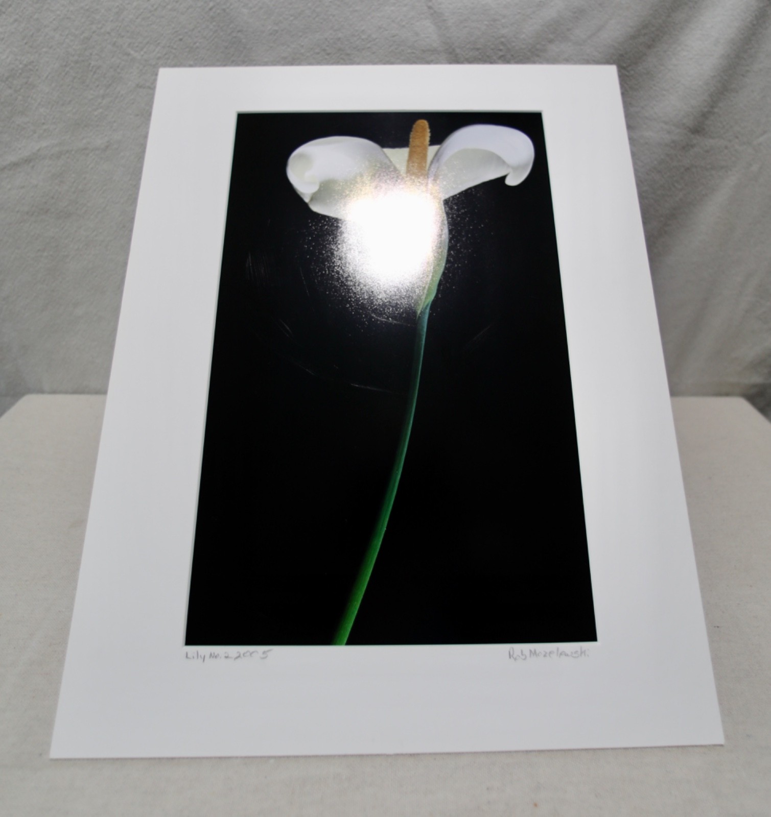 Original Photography Art Print “Lily No.2”