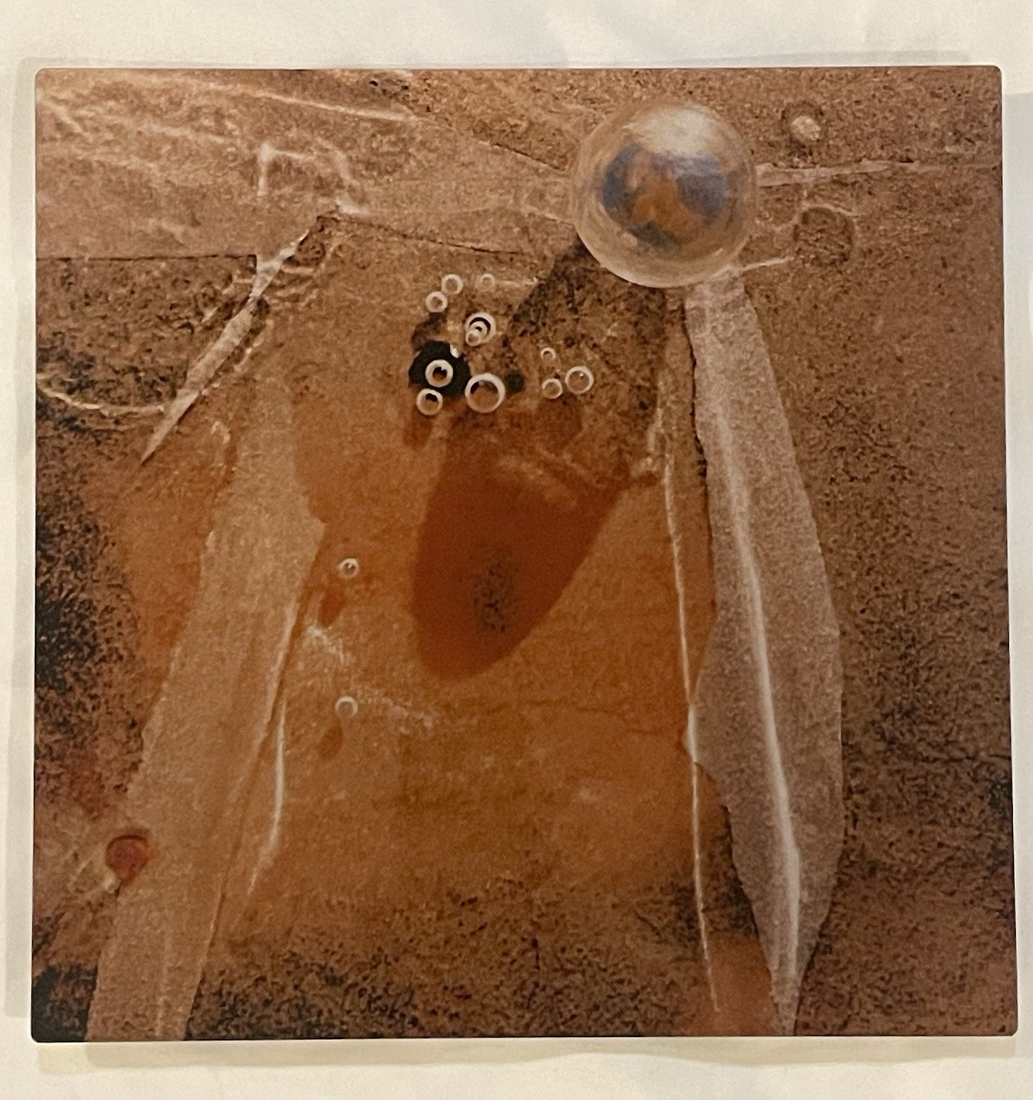 Original Photograph On Metal Sedona,Arizona By Claudia Cooke