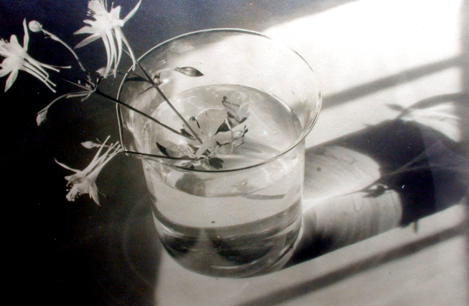 STILL LIFE SALE Connecticut Photo NELL DORR ‘Glass Arrangement’ 4.5″ x 6.5″