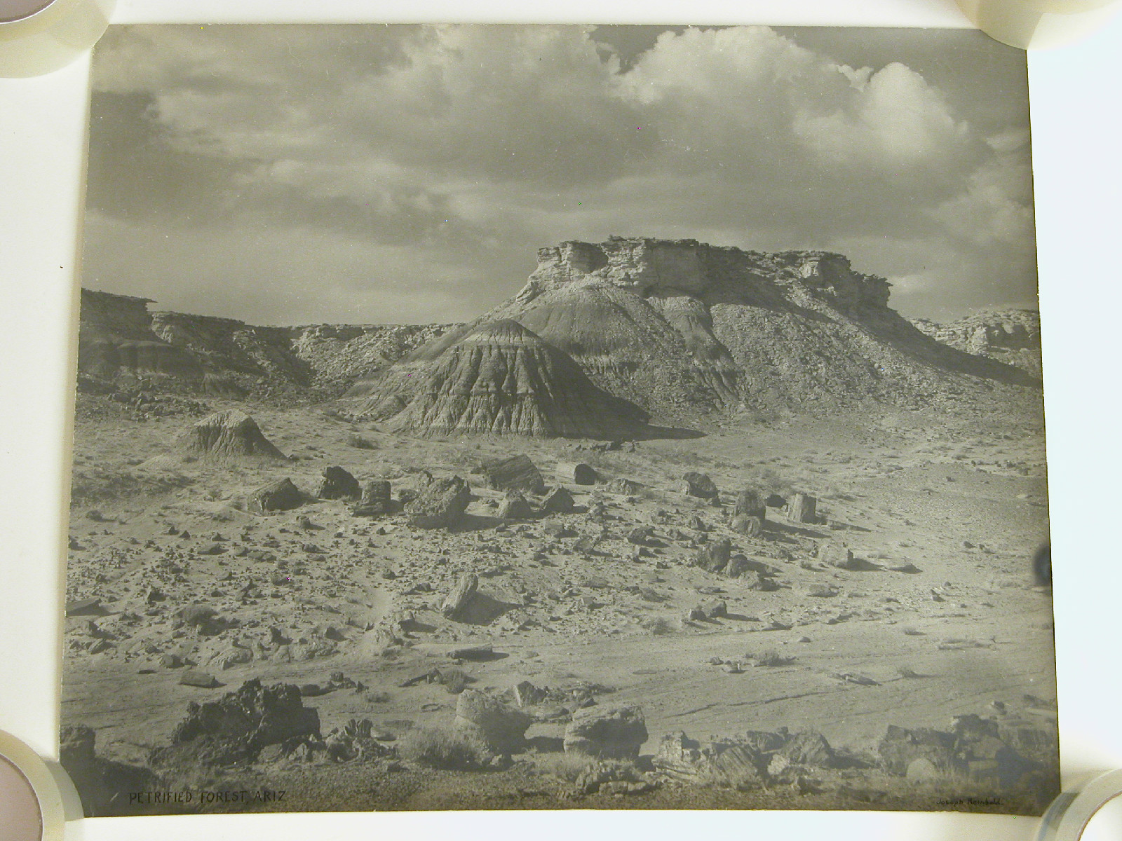 Orig 1940s B&W Photograph Arizona Scenic Desert signed Joseph Reinbold 16X19