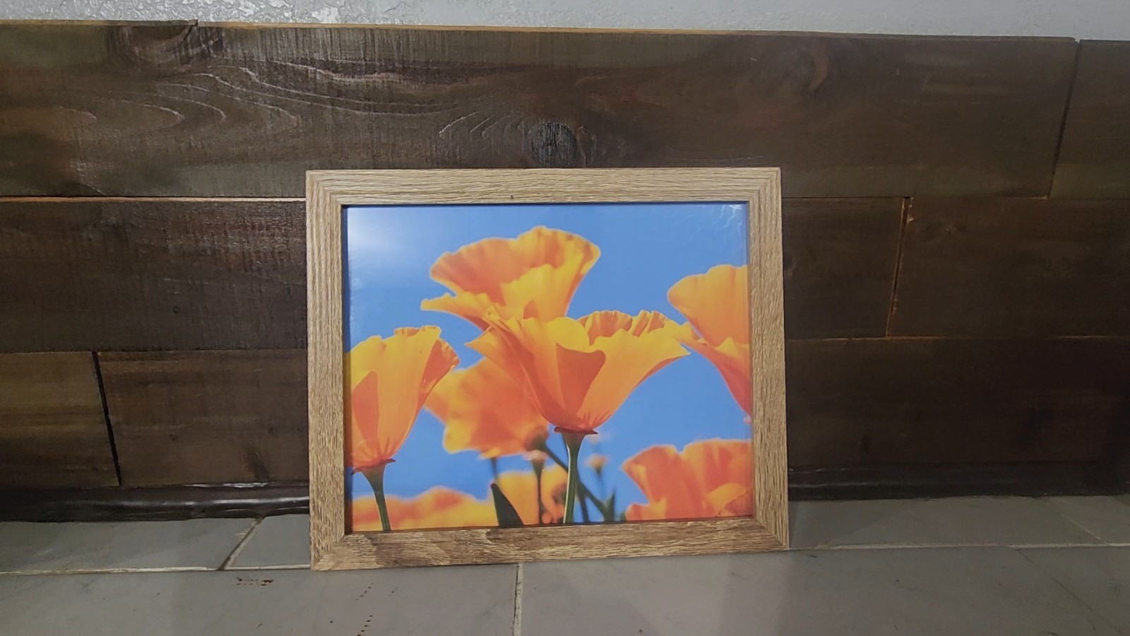 8×10 Original California Poppy Field Photo Print – Vibrant Orange Flower Nature