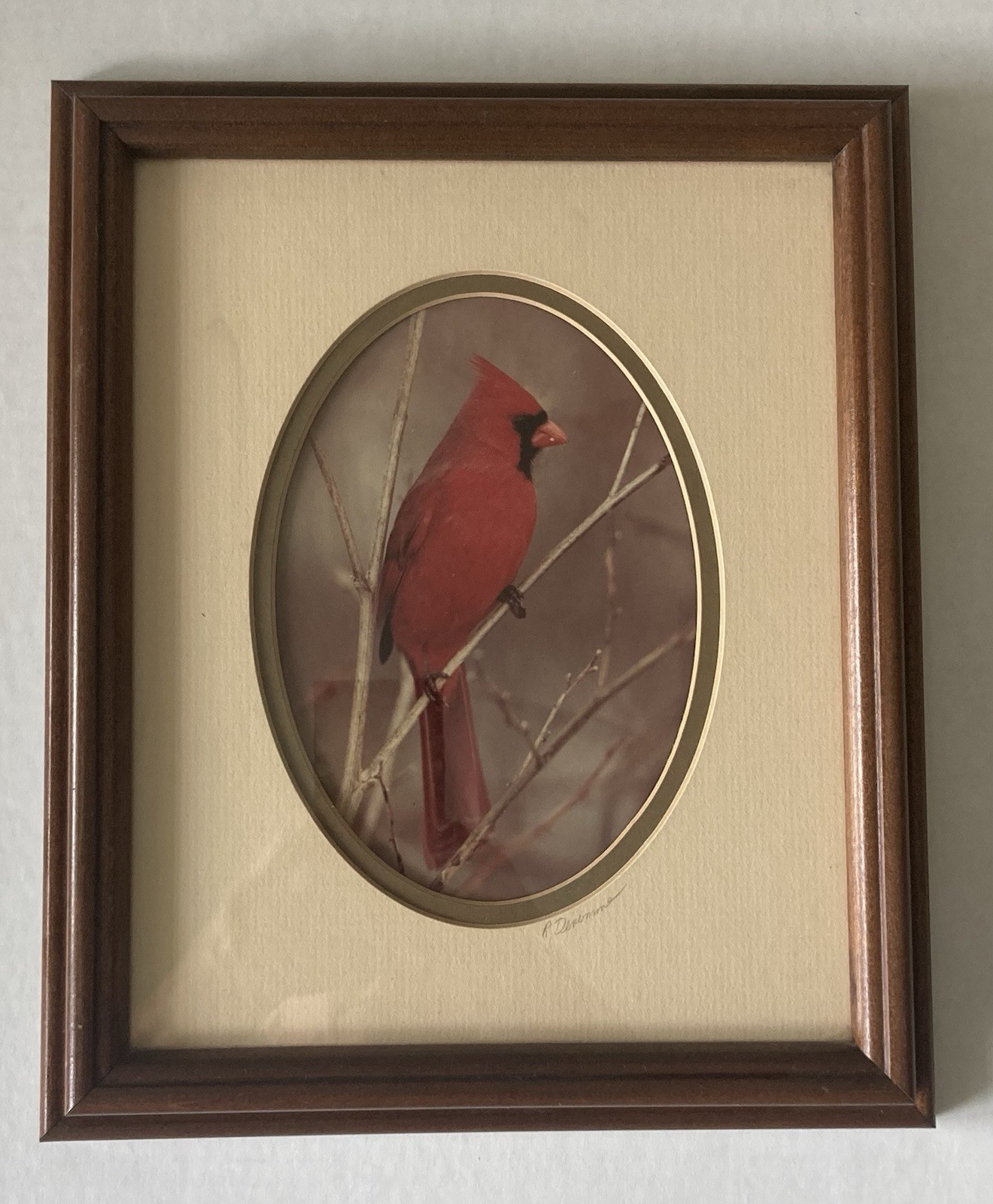 Rick Denomme Bird Photography Set of 4 Framed Cardinal Chickadee Titmouse Signed