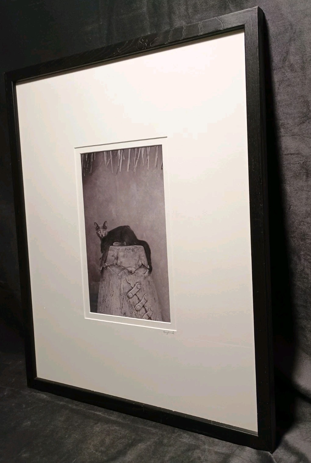 Sophisticated Kitty Cat Black & White Art Photography 17 X 21″ BERGLUND Signed