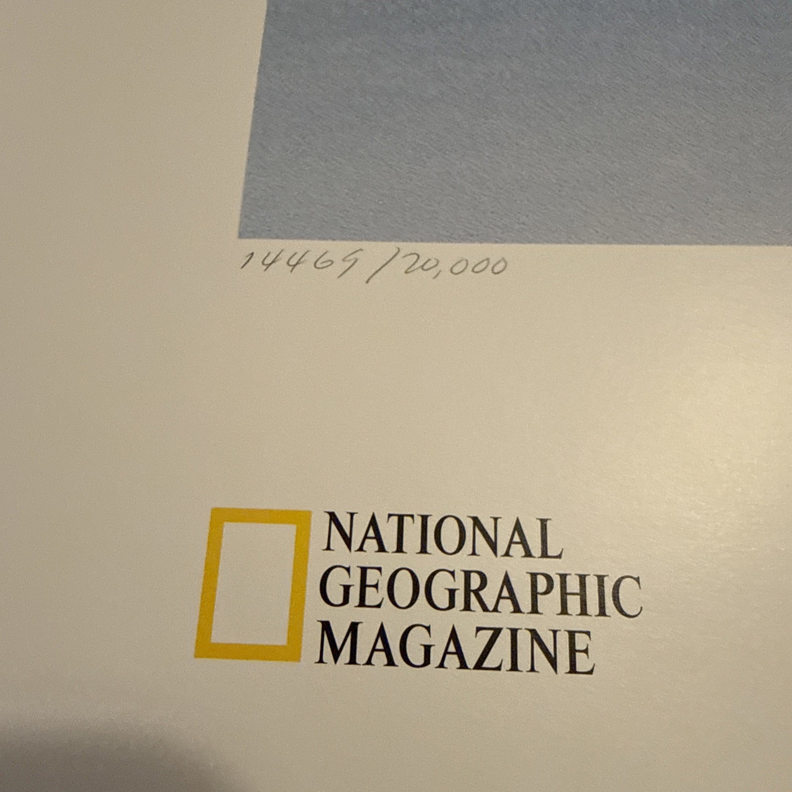 Lot Of 2 National Geographic Polar Bear At Ease 36″X24″ Numbered Lithographs