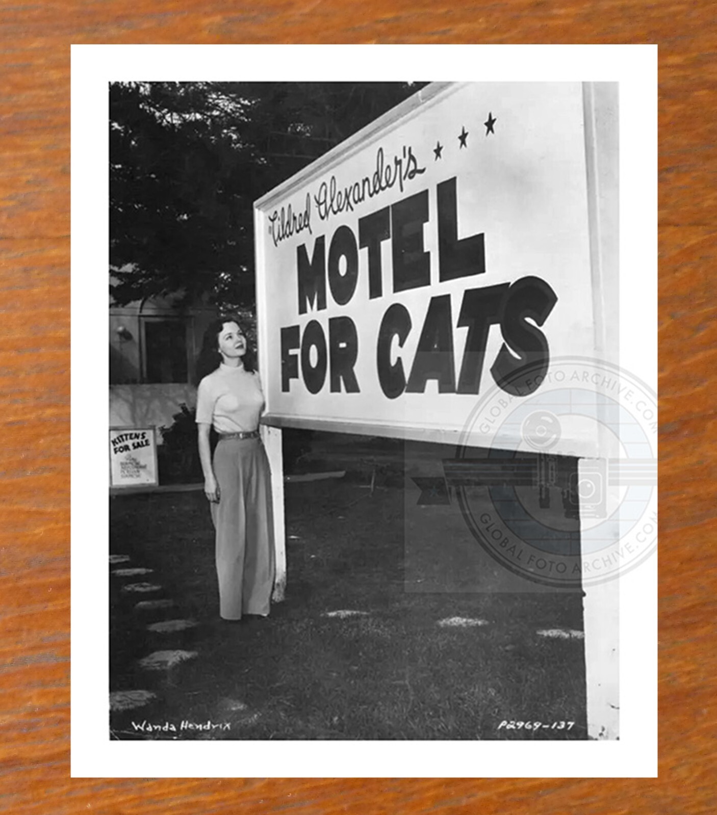 Childless Cat Lady, Motel For Cats – Vintage Photo 8×10