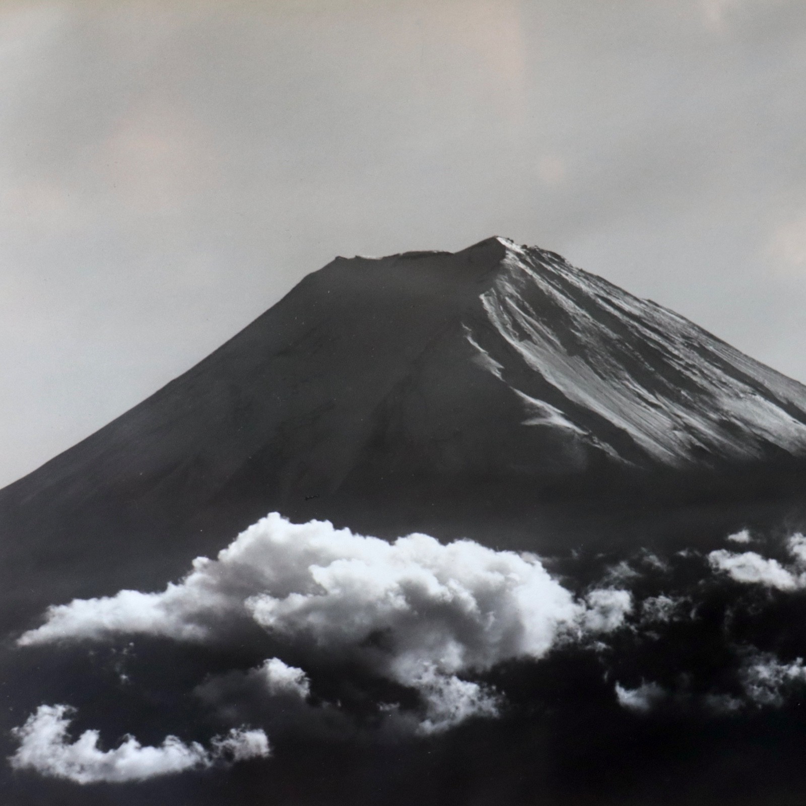 Large 1950s Photograph Mt Fuji Summer Koyo Okada Silver Gelatin Print Japan Vtg