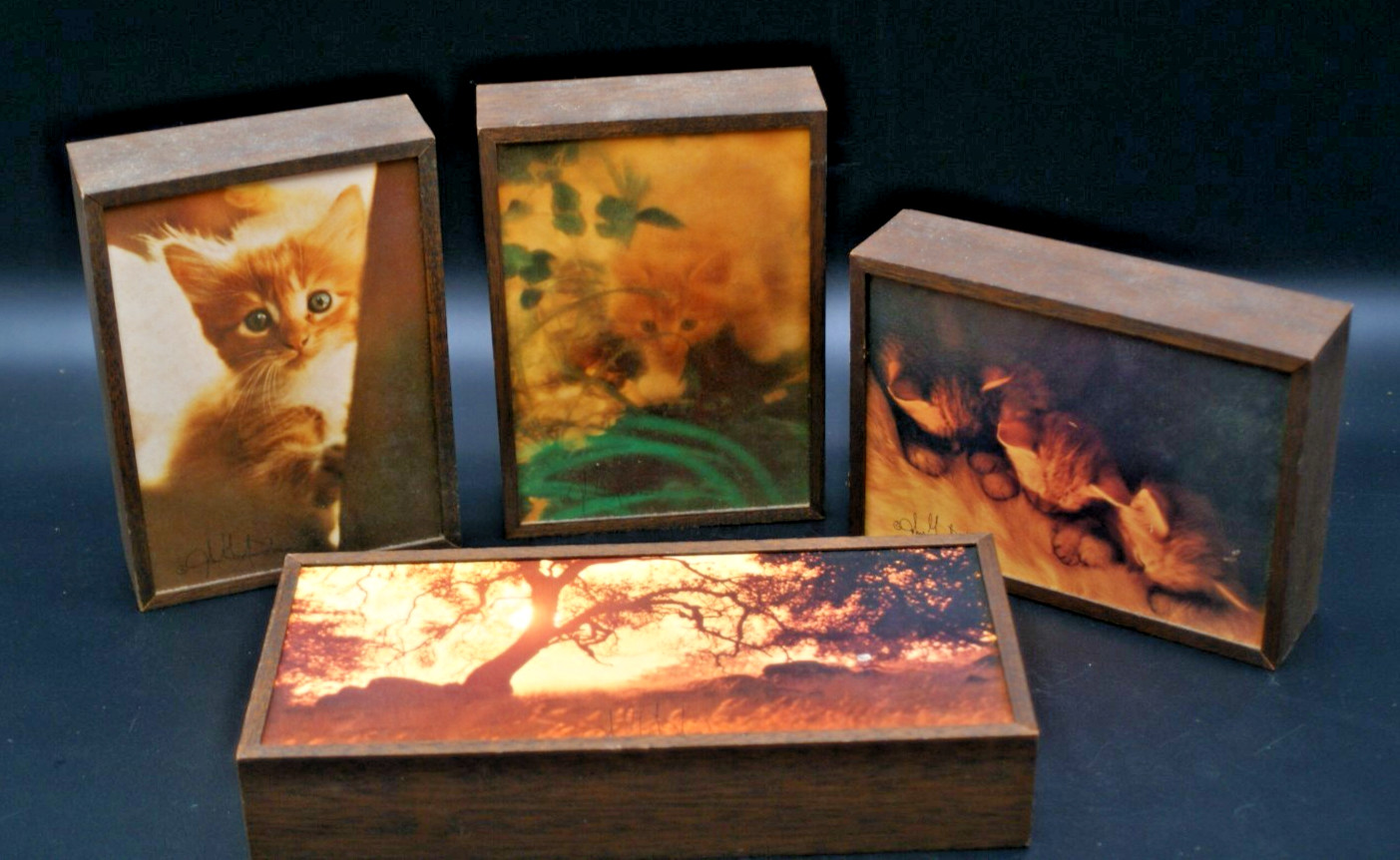Vtg Gary Dodson Cats Kittens Small Print Photography Wall Art MCM
