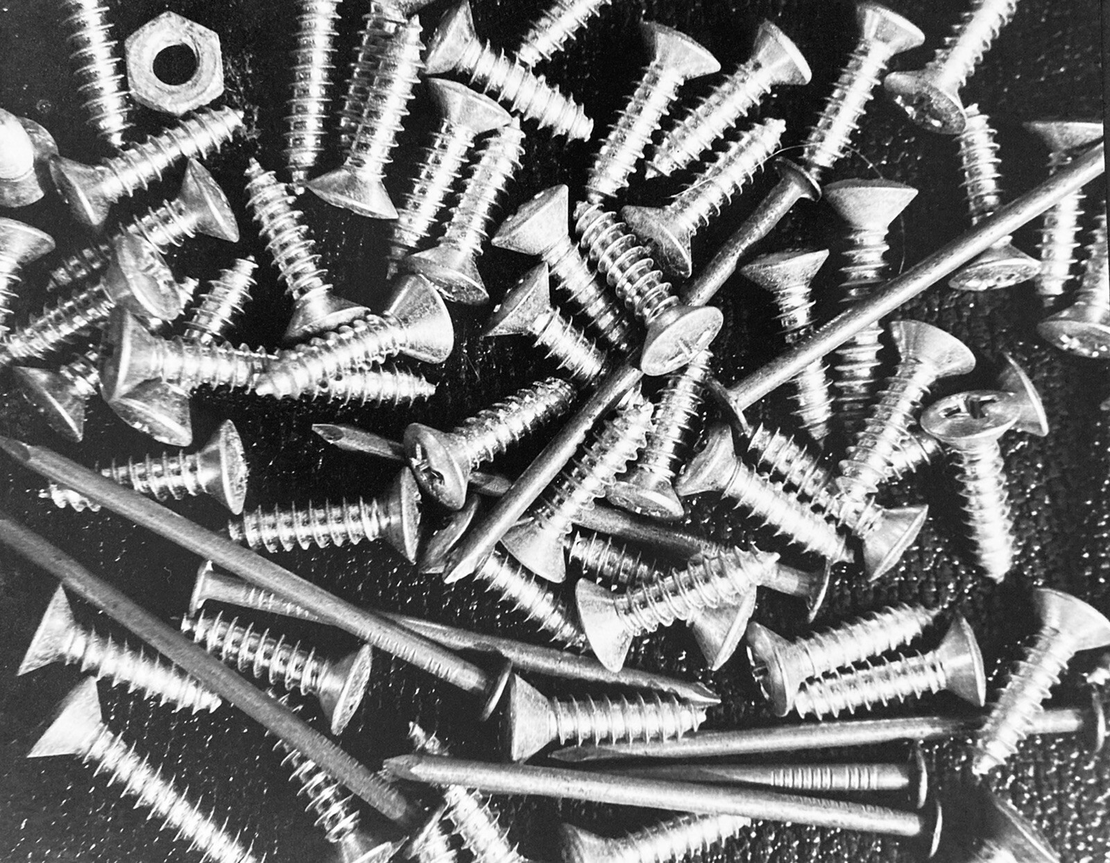 Vintage Black & White Photograph Screws Nuts & Bolts 1940s Industrial Art Print