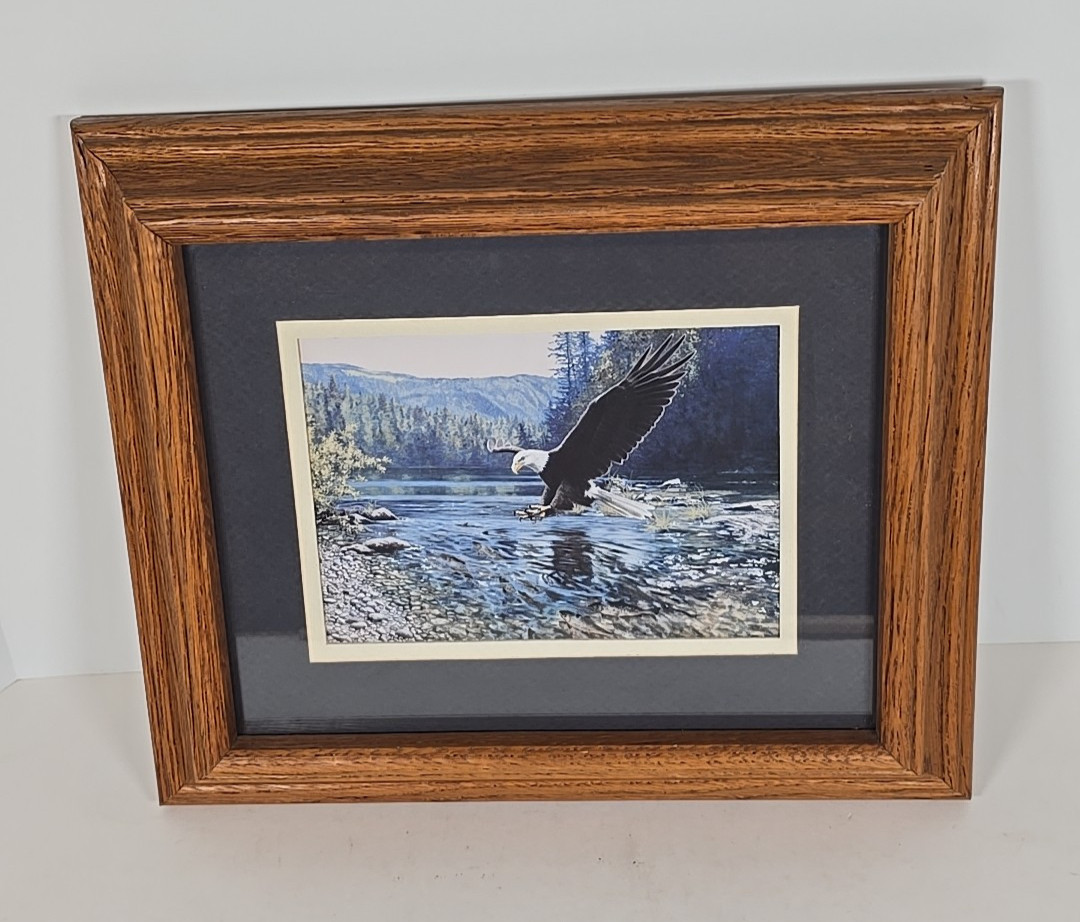 Framed American Bald Eagle Print Picture Of Eagle Coming In For A Fish Dinner