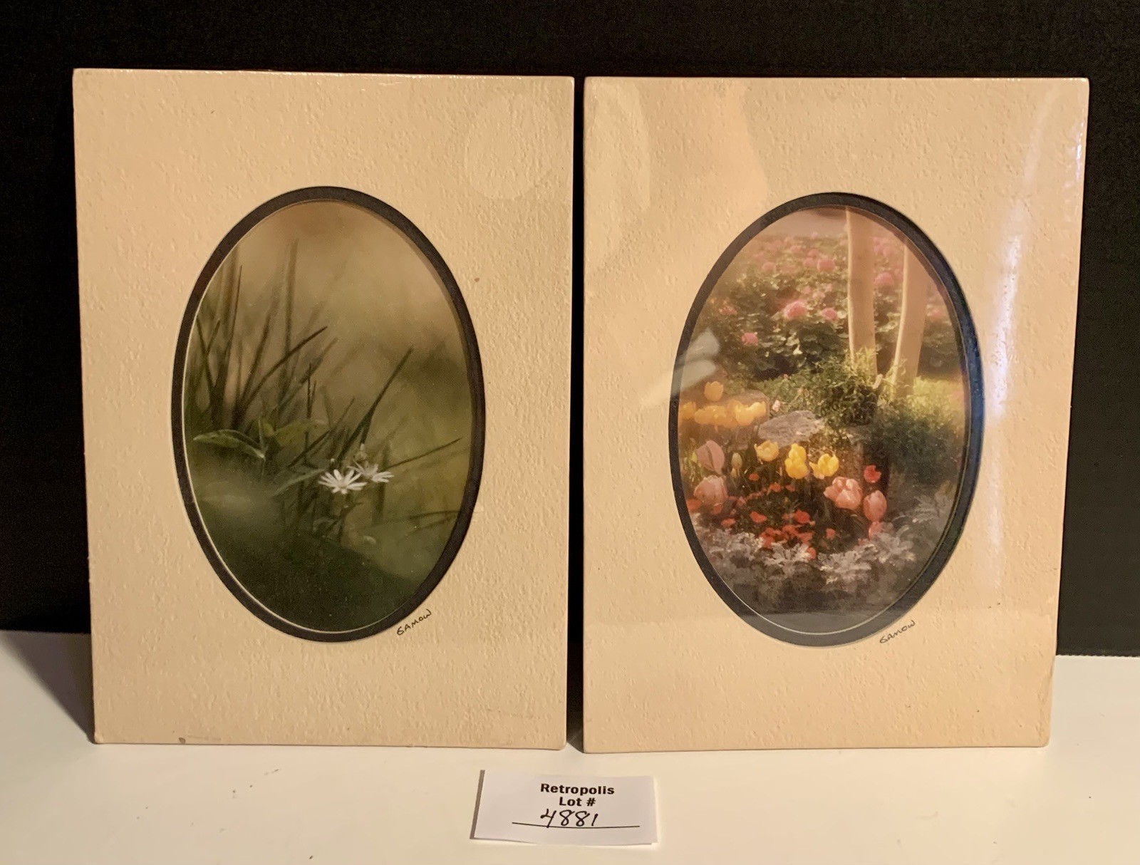 Pair Gamow Signed Floral Photography Art 5″ x 7″ Matted