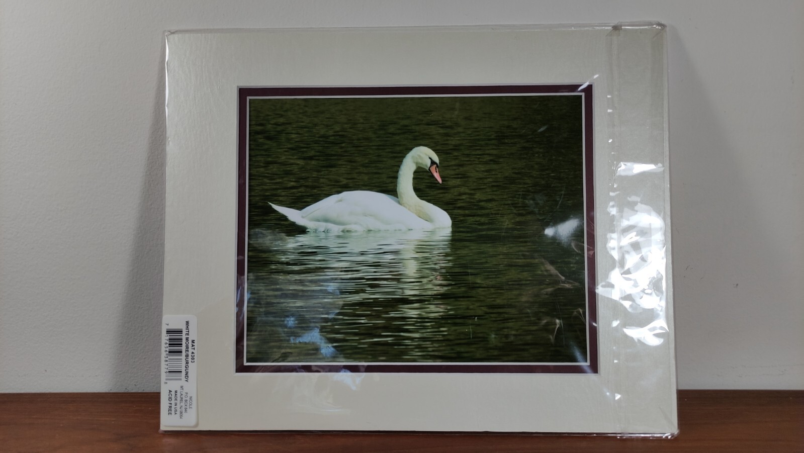 Original Photo Art Print Swan Photography Matted Signed by Ann Copeland Sealed