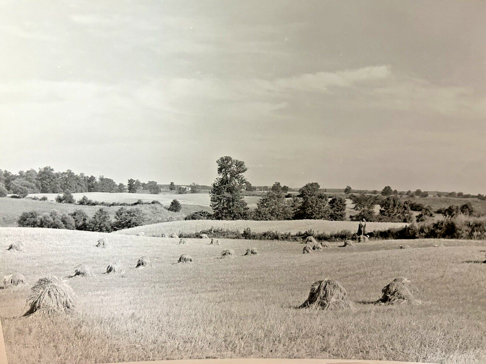 Arthur Gray Standard Oil Photographer Cleveland Ohio Americana Haystacks Monet!!