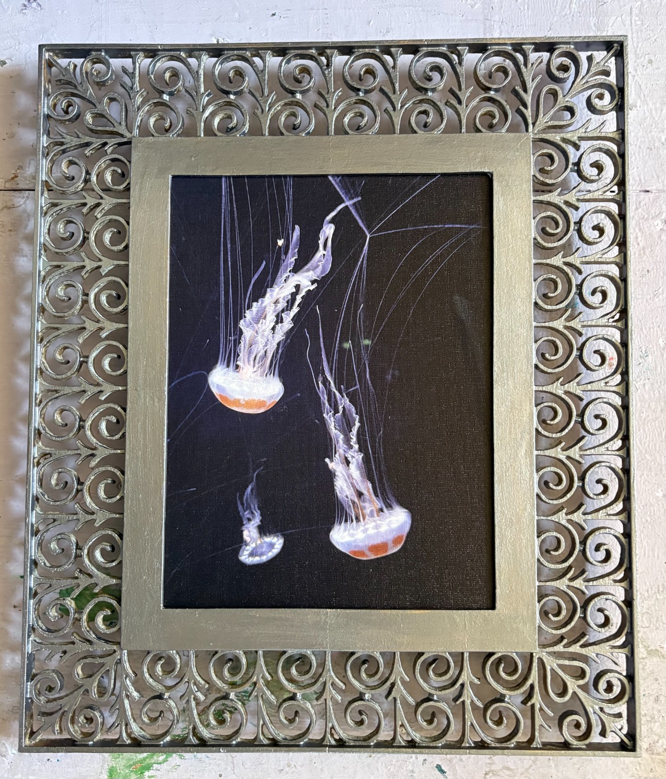 Jelly Fish, Original Photography, Canvas, Platinum Metal Framed
