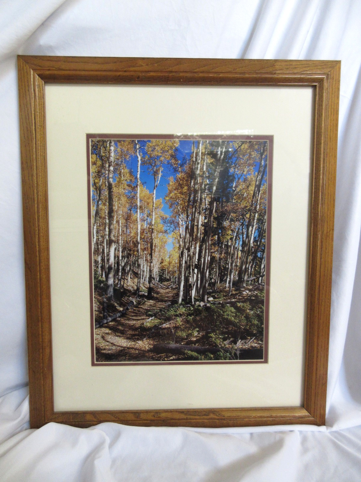 Framed Landscape Photography Aspen Trees Autumn Forest Path Rustic Wall Art