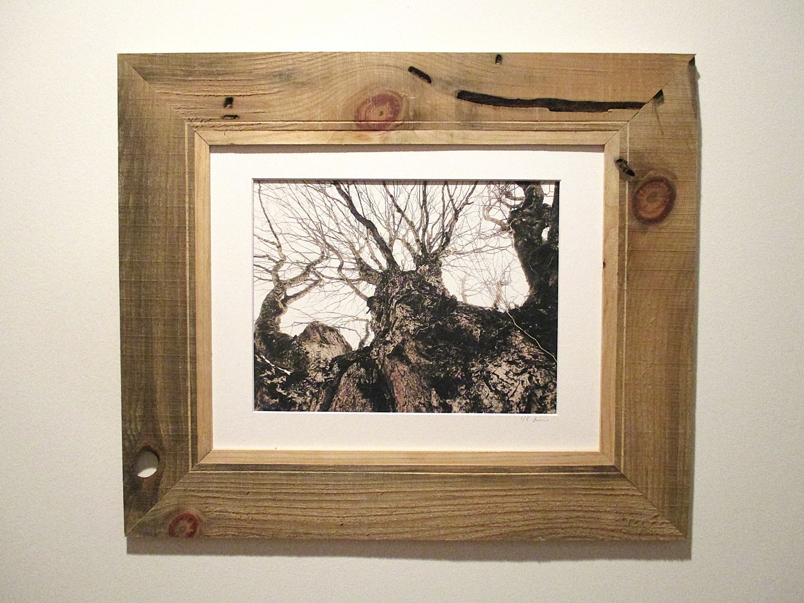 fine art black and white photographs north woods strange