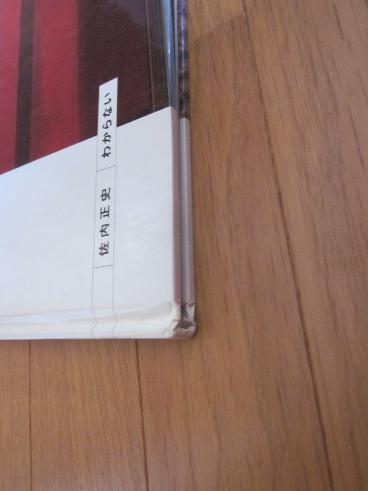 MASAFUMI SANAI Photo Book WAKARANAI I don’t know Japan 1998 1st. edition