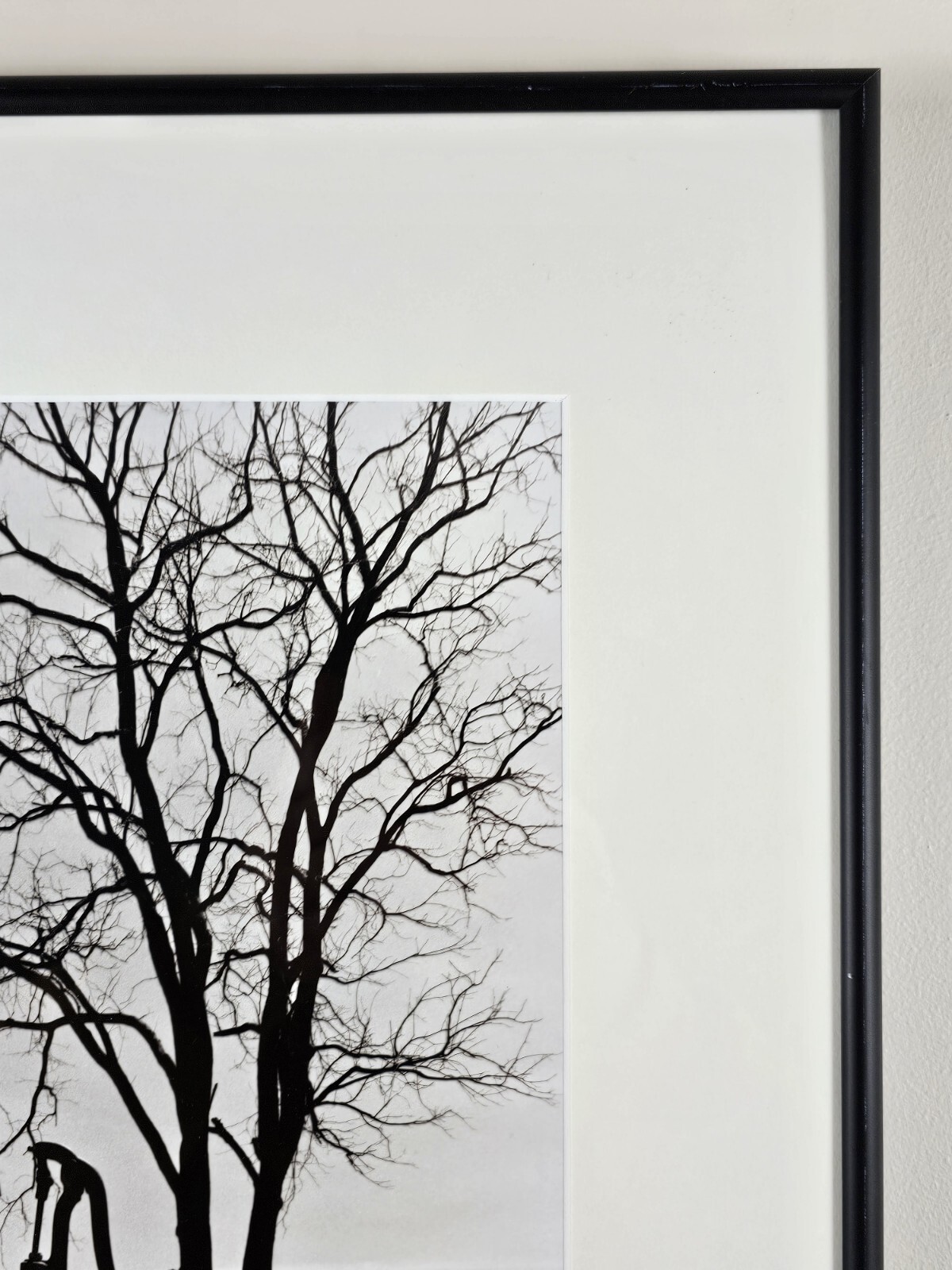 Original Signed John Bower 35mm Fine Art B&W Photograph 20×16 Framed Midwest Art