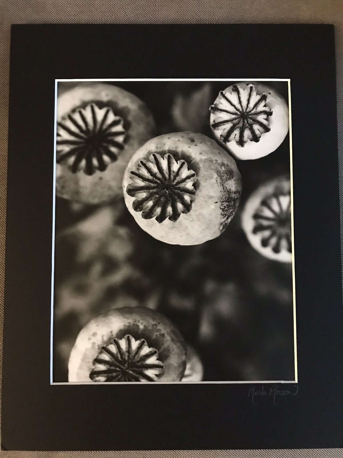 KRISTA ROSSOW SIGNED MODERN PHOTOGRAPHY MATTED OREGON ARTIST POPPY FLOWER NATURE