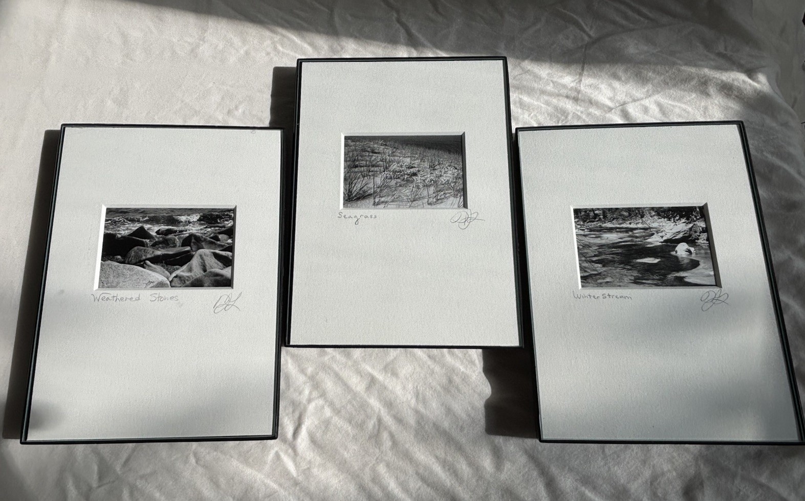 3 Black & White Minimal Modern Framed Photo Art Nature Titled Artist Signed