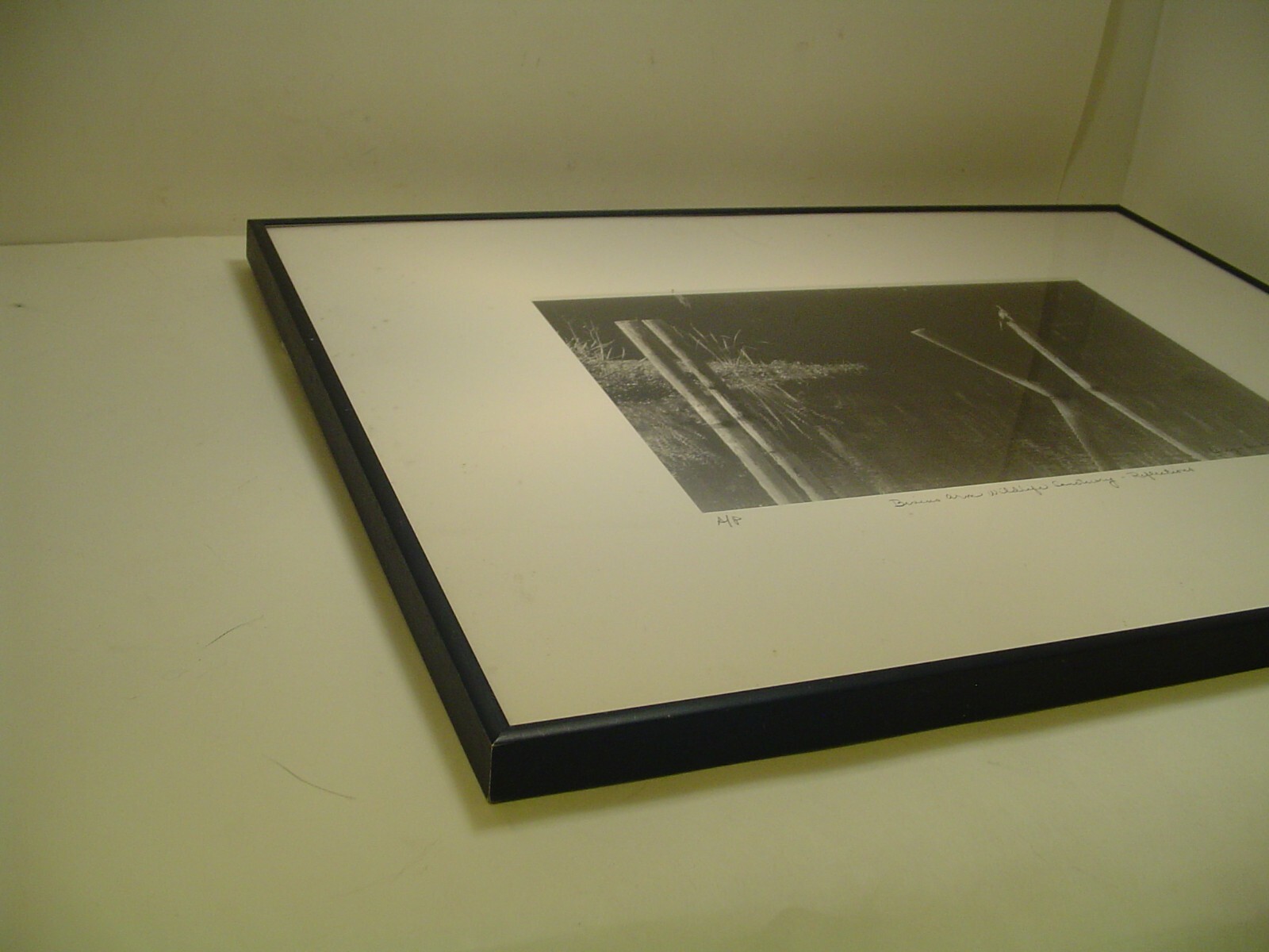 ART Photography “Bueno Arm Wildlife Sanctuary” 2004 L. Santucci Frames 16x20in
