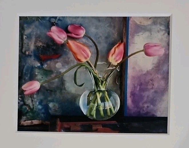 Gordon Bruno Art Photograph Pink Tulip Bouquet in a Glass Vase Matted 11×14″