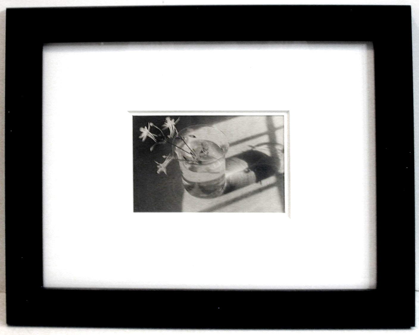 STILL LIFE SALE Connecticut Photo NELL DORR ‘Glass Arrangement’ 4.5″ x 6.5″