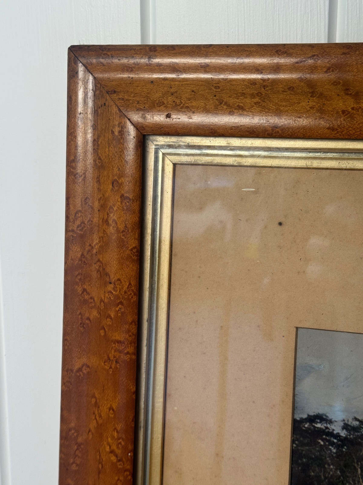 c.1900 Hand-Tinted Albumen Photograph Indigenous Landscape in Burr-Walnut Frame