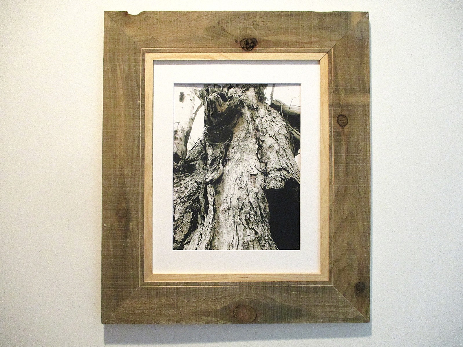 fine art black and white photographs north woods strange