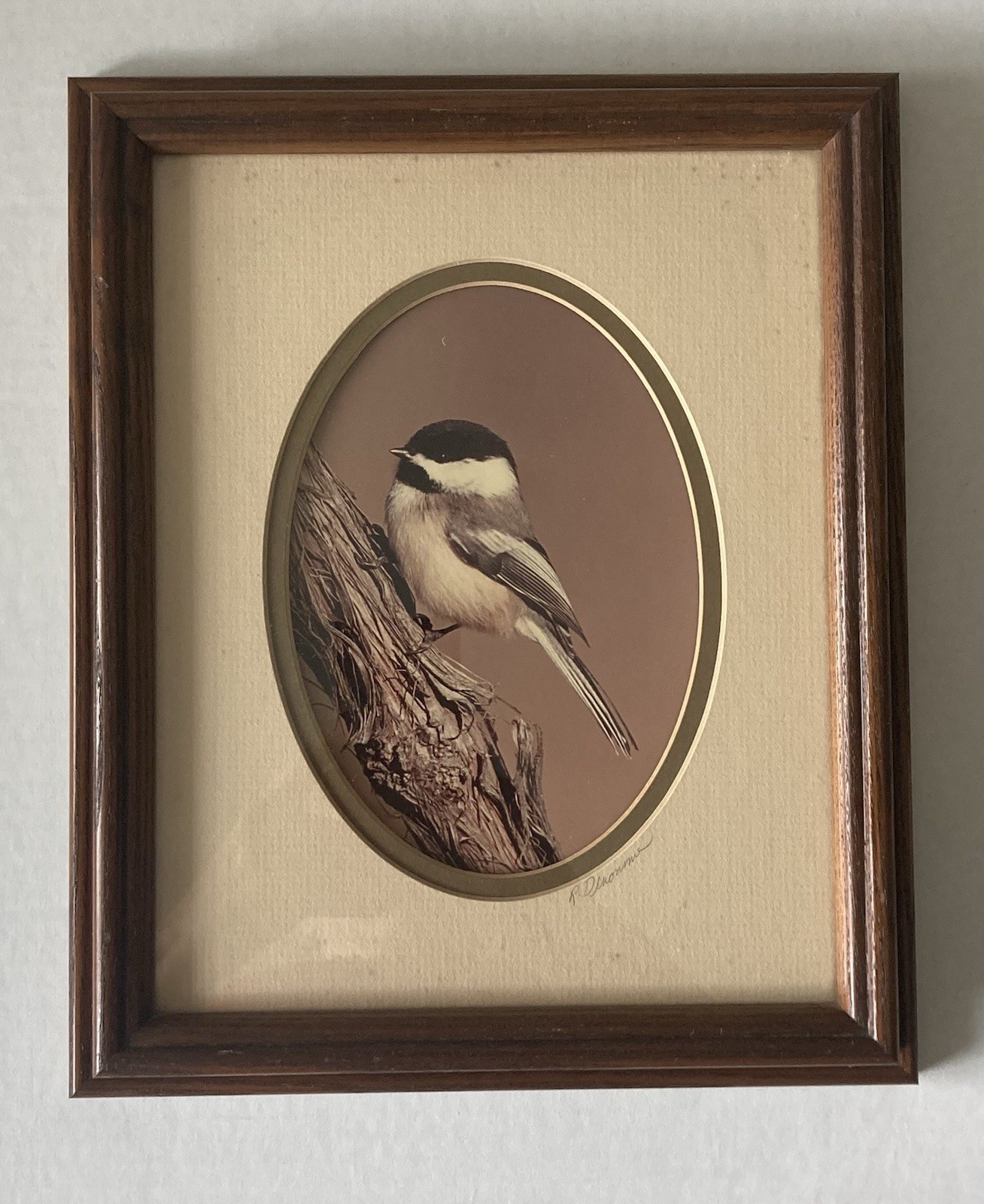 Rick Denomme Bird Photography Set of 4 Framed Cardinal Chickadee Titmouse Signed