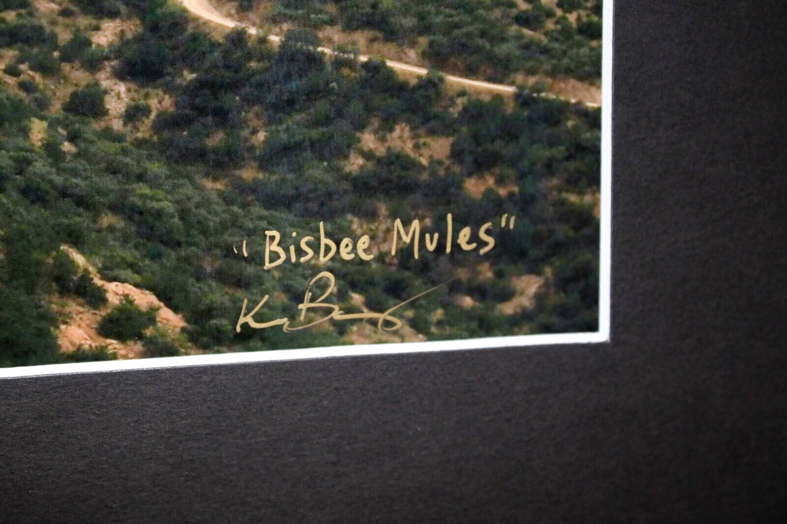 Bisbee, Arizona Landscape Photo 8″ x 10″ in 11″ x 14″ Matte Signed by Kim Barry