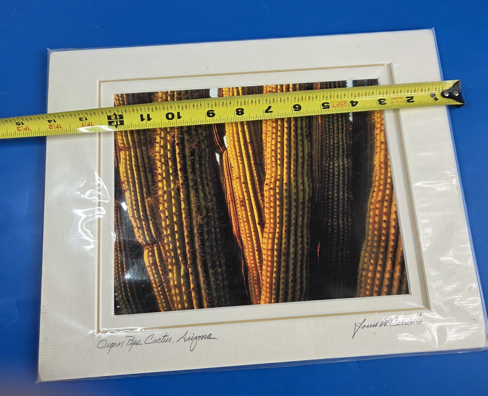 Louis Cantillo ORGAN PIPE CATUS Signed Photo Arizona Matted Mounted 14 x 11 New