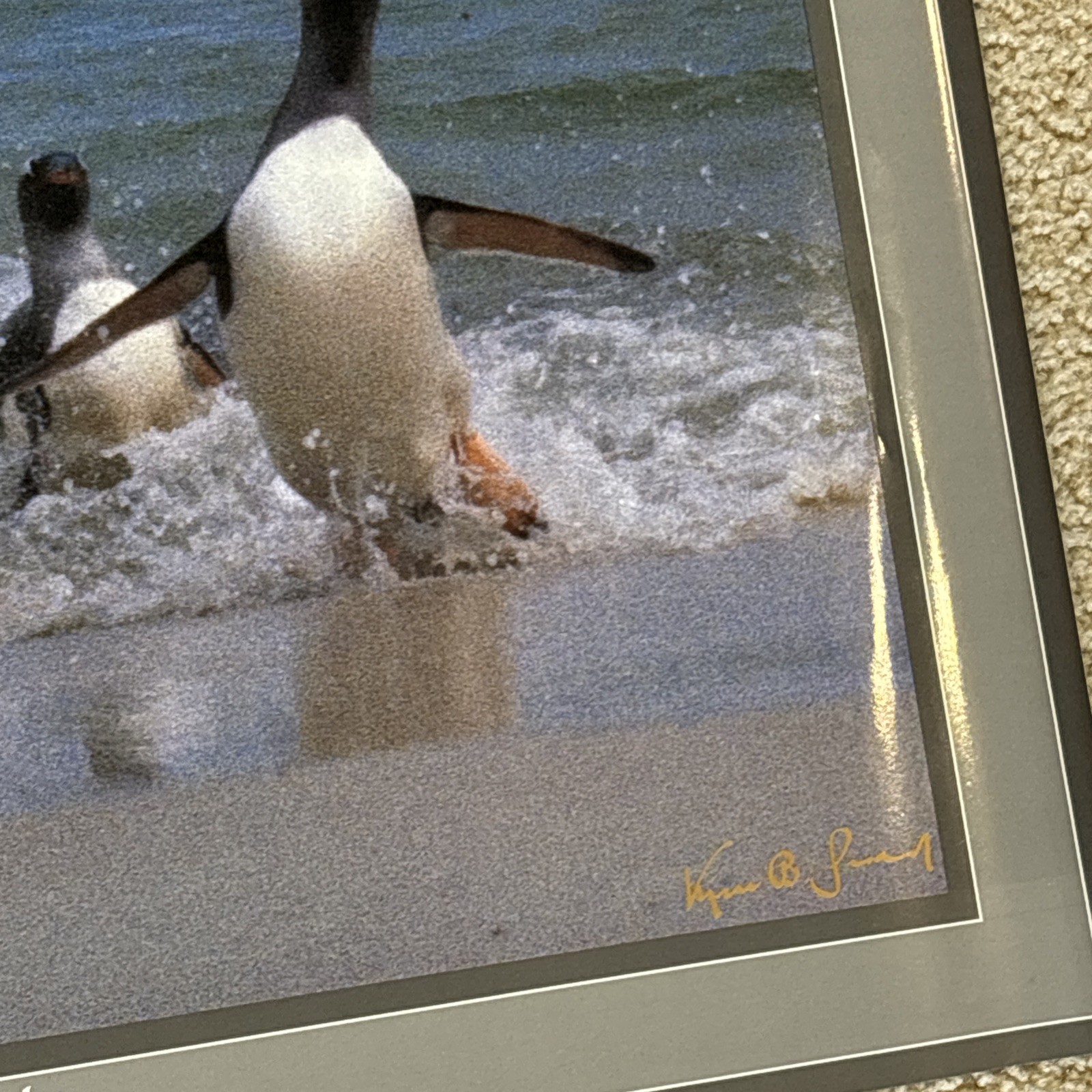 Lot Of 3 Kjell B Sandved Photograph Posters Bald Eagle Wild Horses Penguins