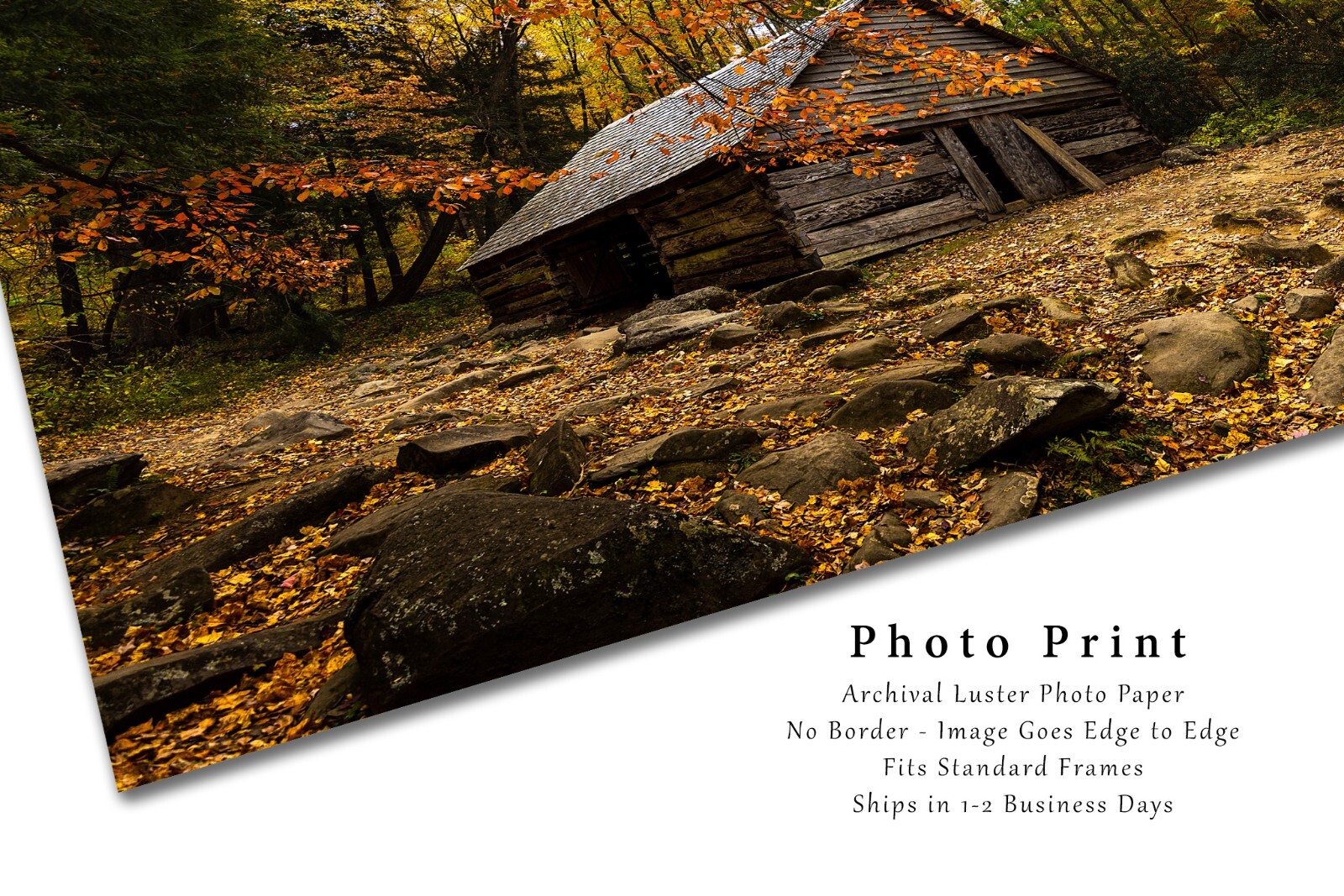 Old Barn Surrounded by Fall Foliage in Great Smoky Mountains Tennessee Print