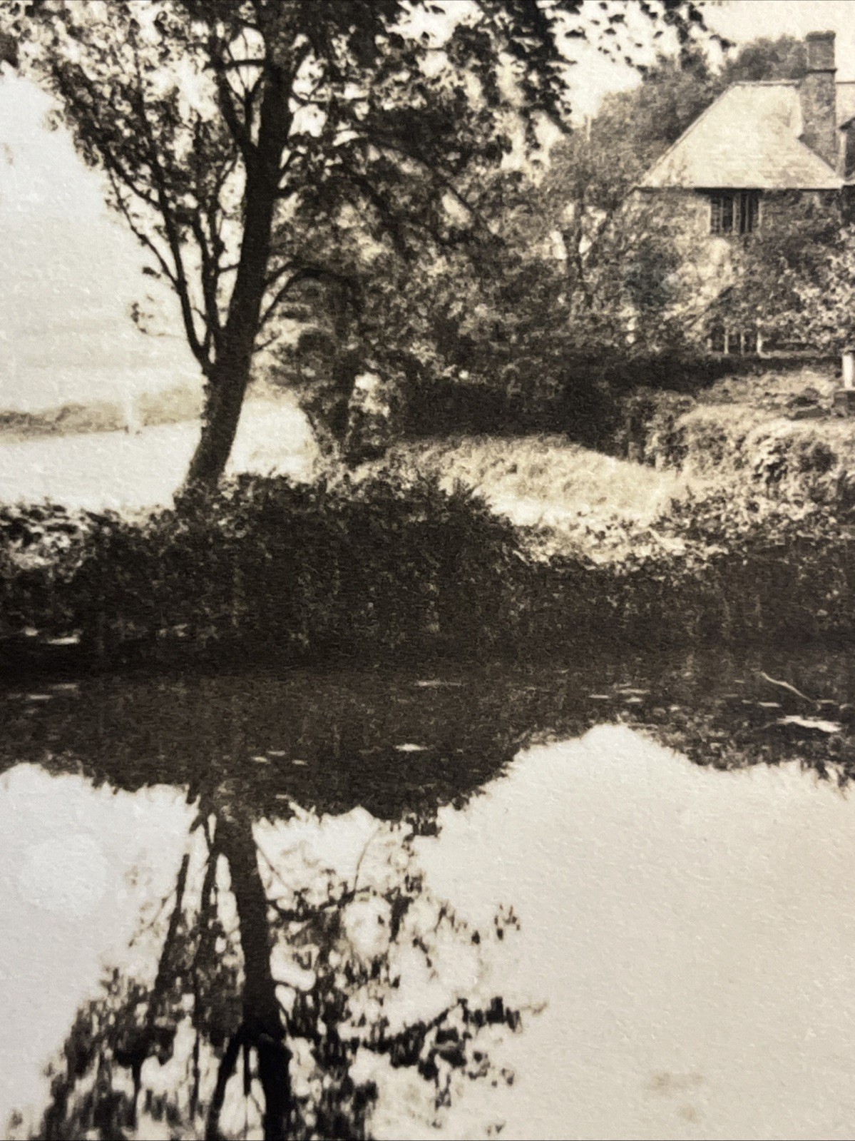 “ART LANDSCAPE PHOTOGRAPHY” Sepia Home Estate Lake Tree 1950 Private Print