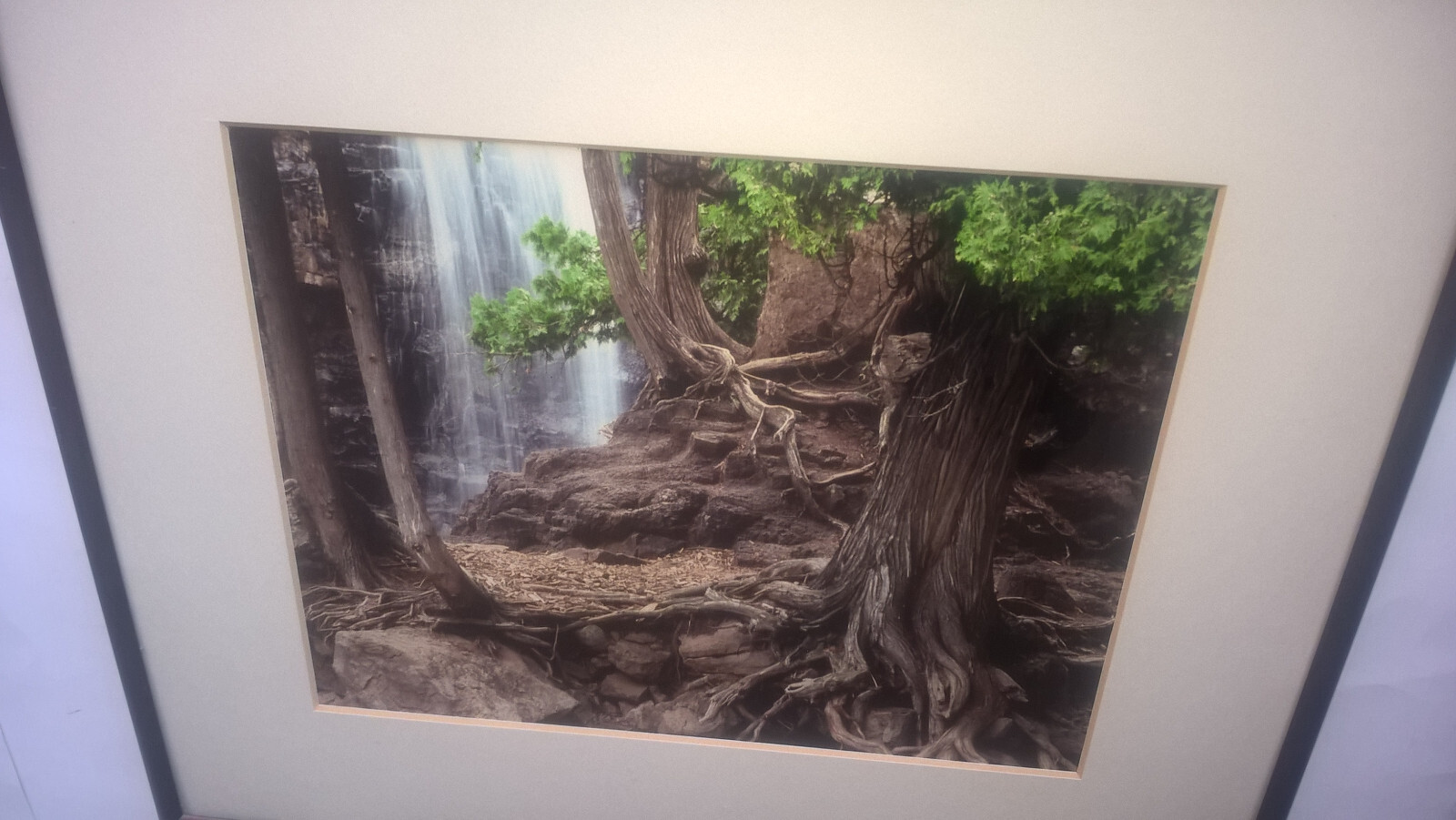 Jay Anderson Photograph Minnesota Gooseberry Falls Framed Art Forest Waterfall