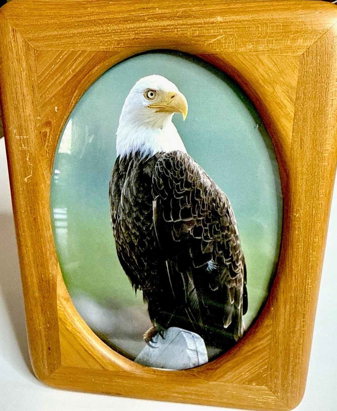 Wood Picture Frame 8×6 -Oval Opening- Bald Eagle Photo Rustic Decor