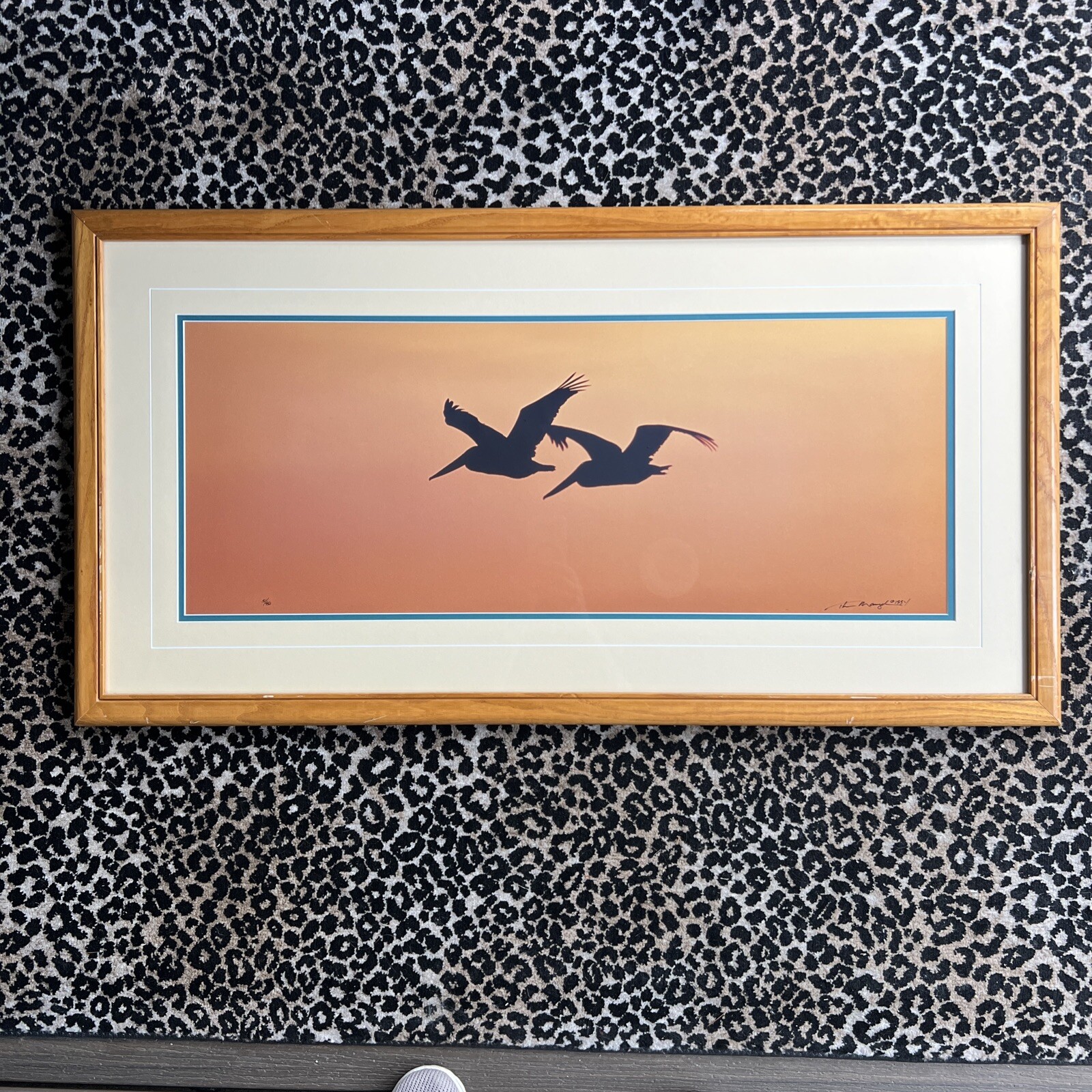 Thomas Mangelsen Signed Art Photo Ltd Pelicans Birds Wings At Dusk Numbered MCM