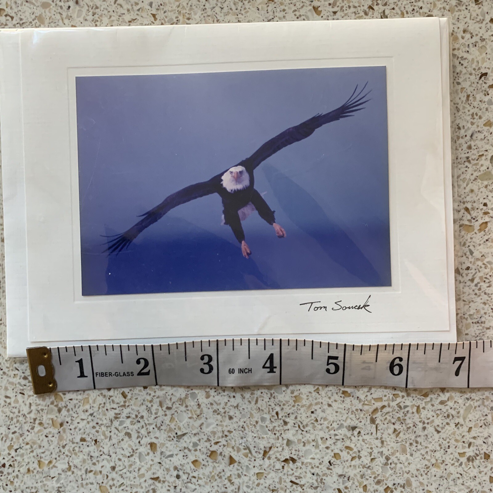 Photograph Notecard by Tom Soucek Eagle Landing Signed 1999