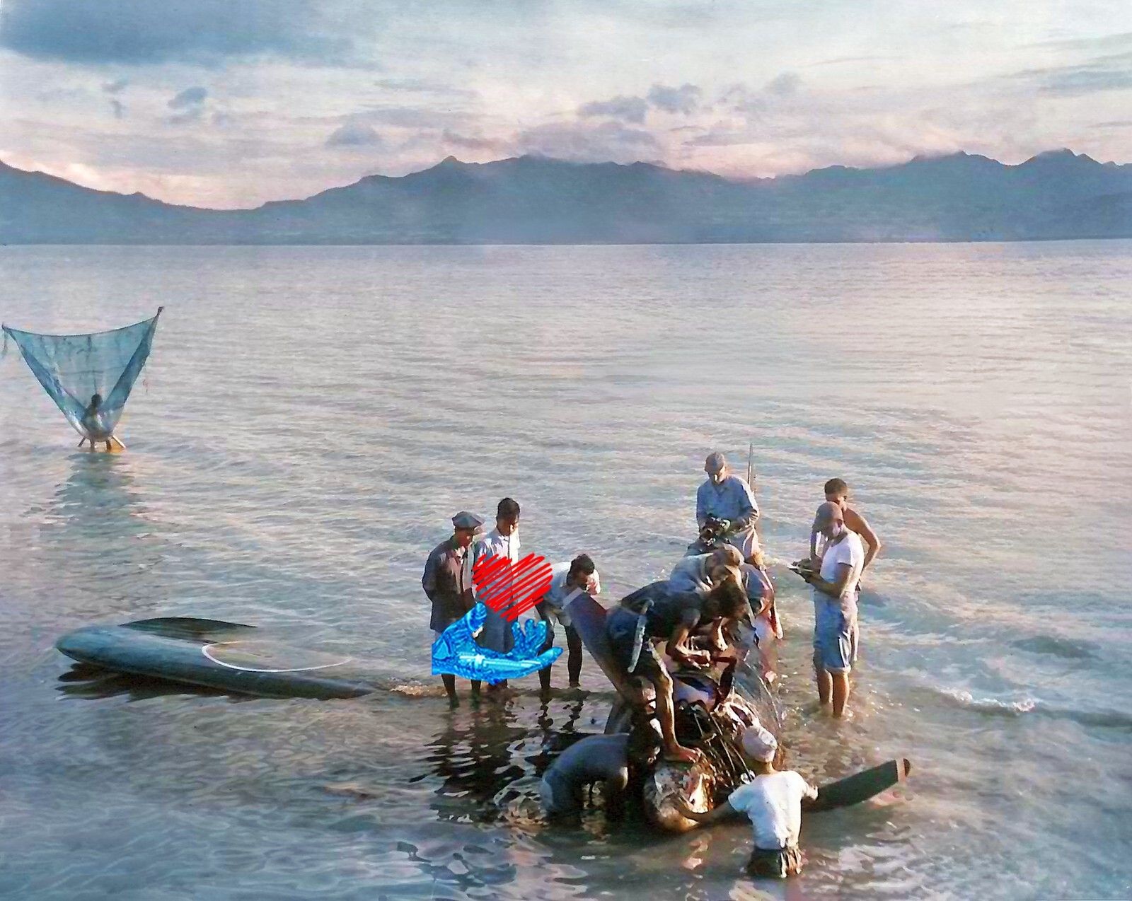 WW2 Colorized Nakajima Ki-43 II Otsu Hayabusa (Oscar) 248 Sentai in PNG 1944